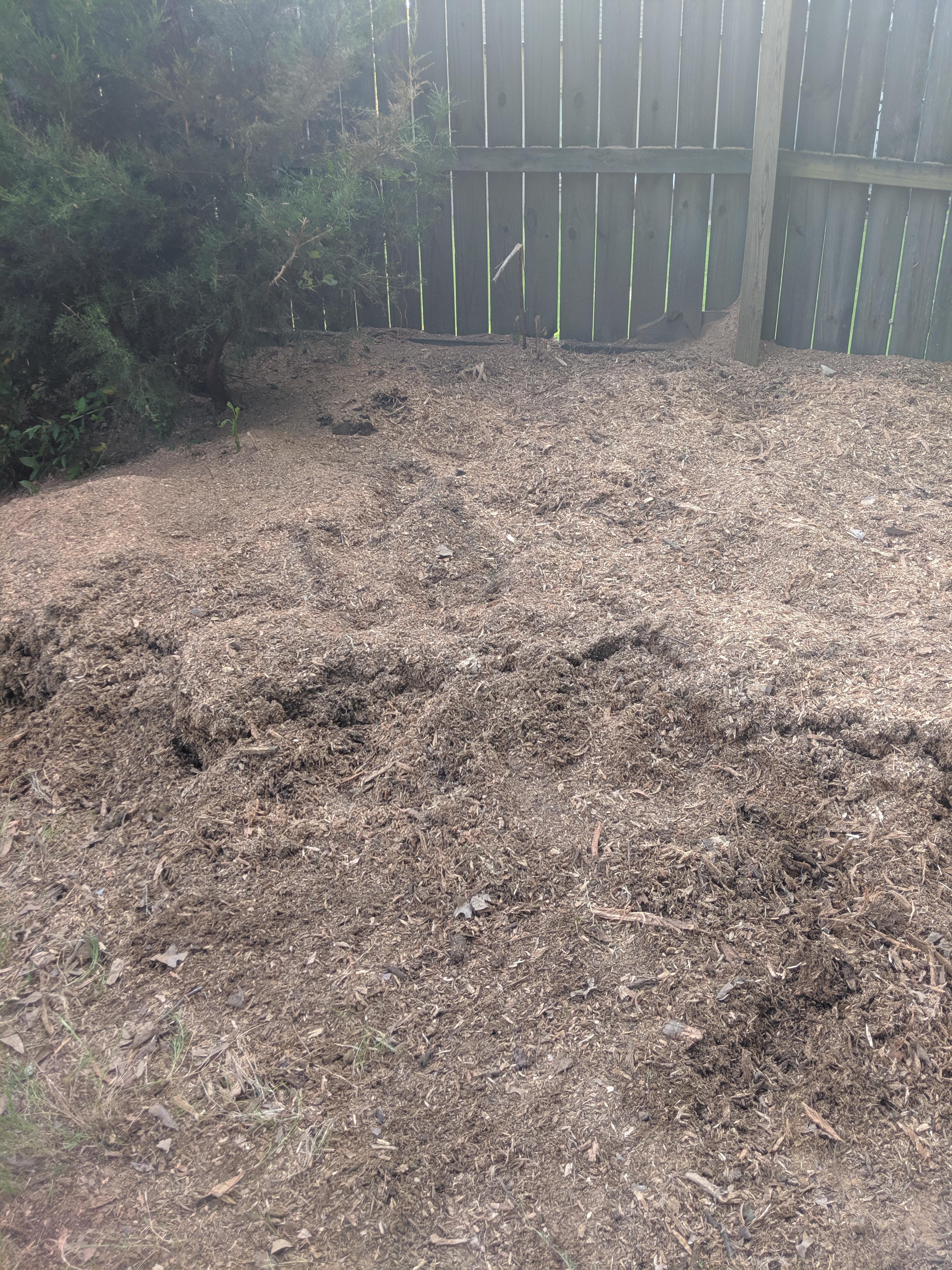 Recently got a stump ground. Now I have all these wood chips. Anyone know an easy way to clean