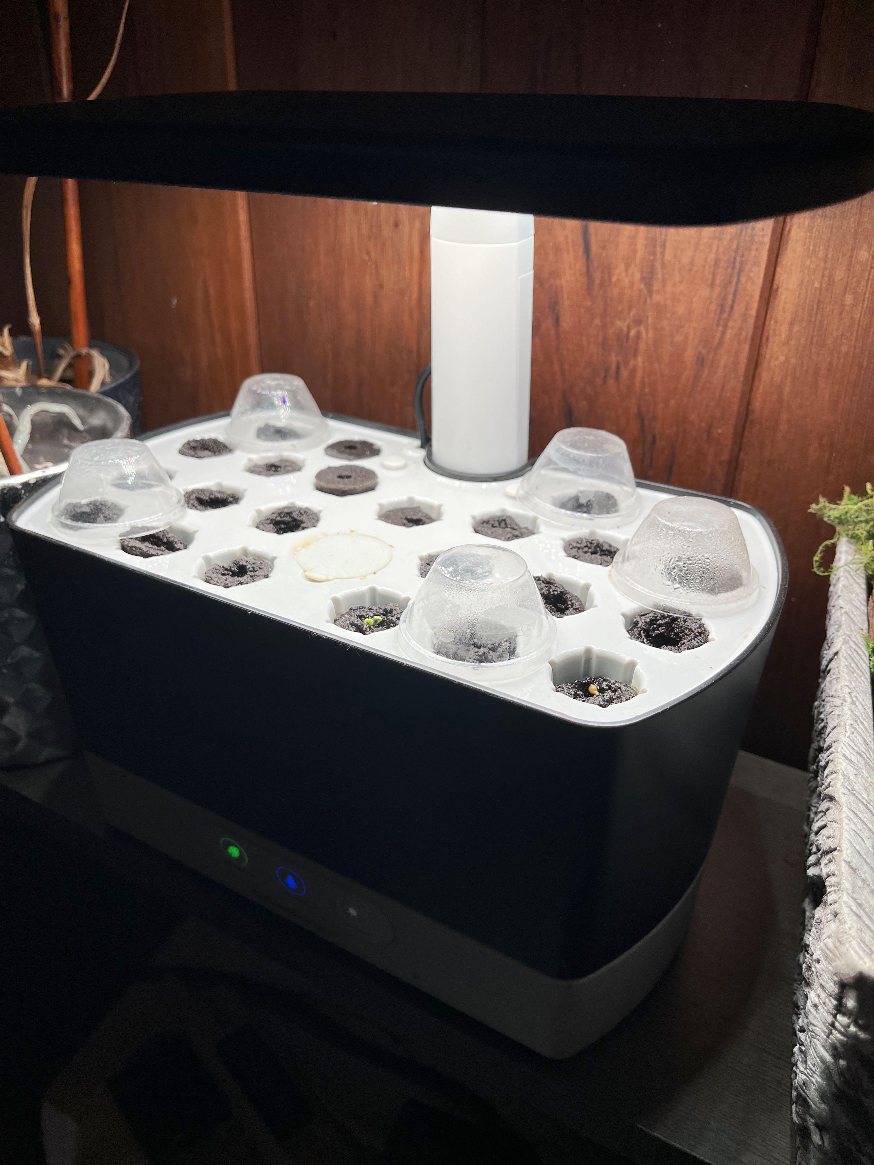 Question for AeroGarden Seed Starting System for Harvest Models Grow