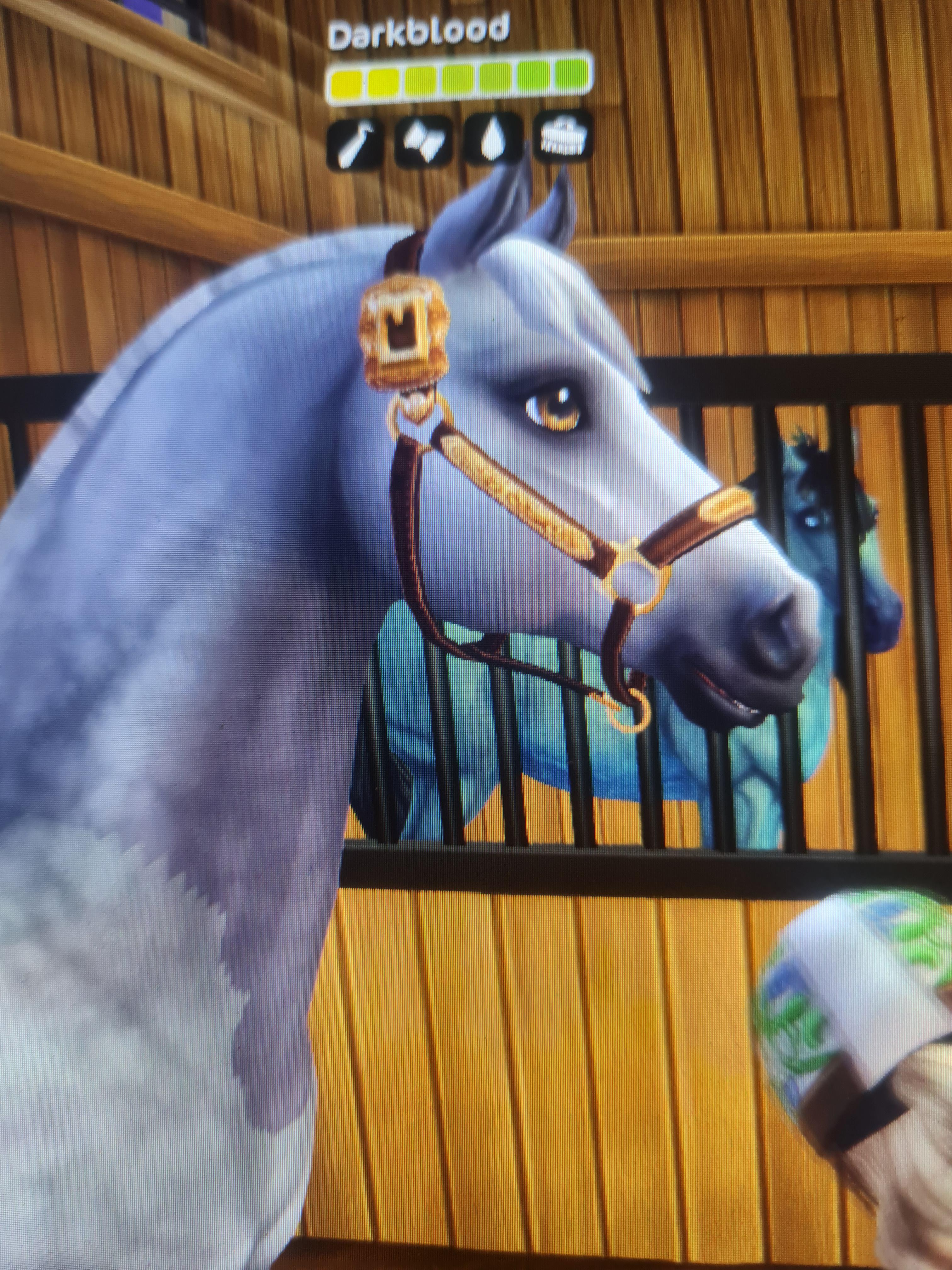 Why is my starter horse wearing this? I don't even own the halter. I