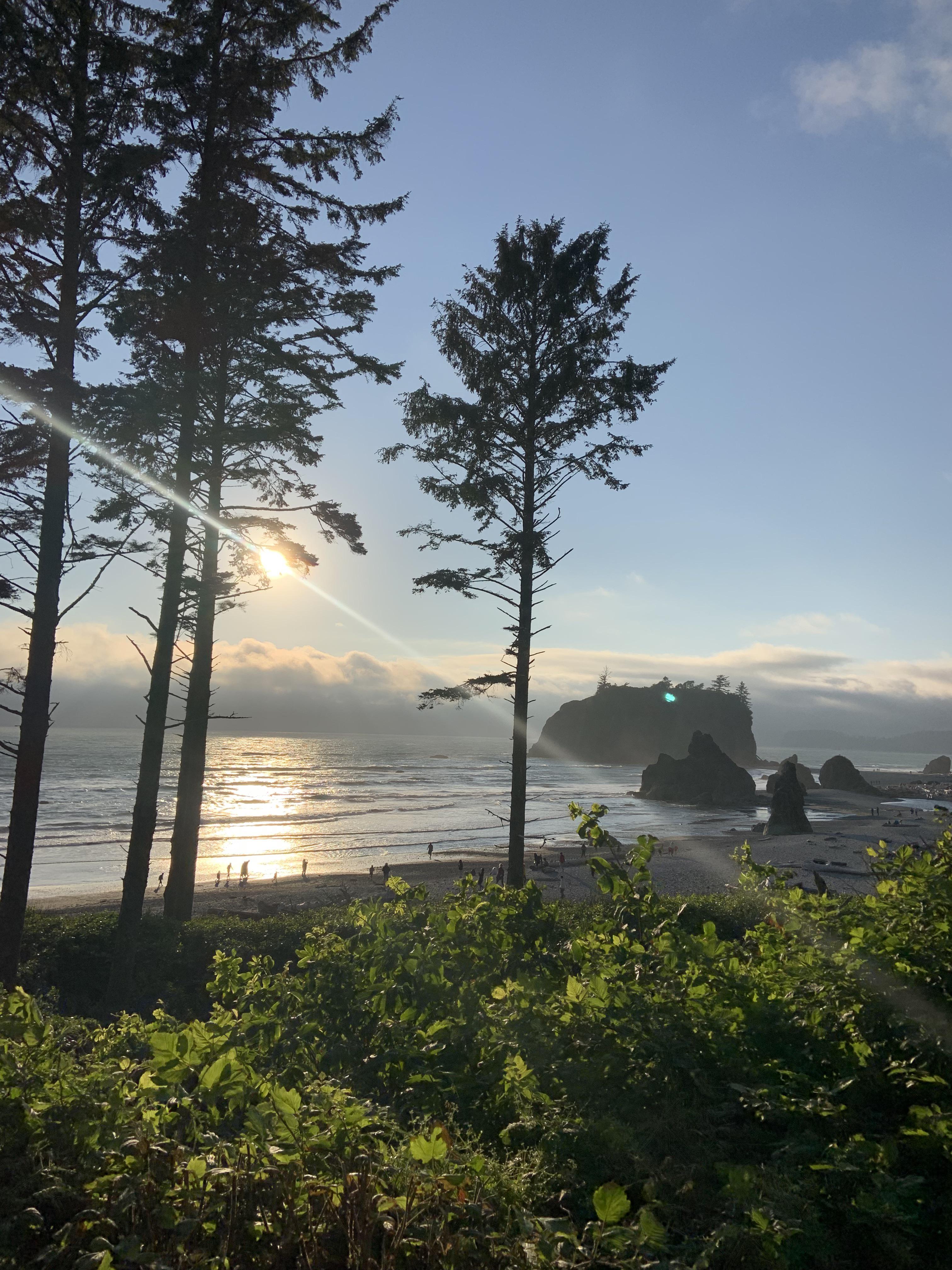 Ruby Beach Washington State, USA. r/Beachporn