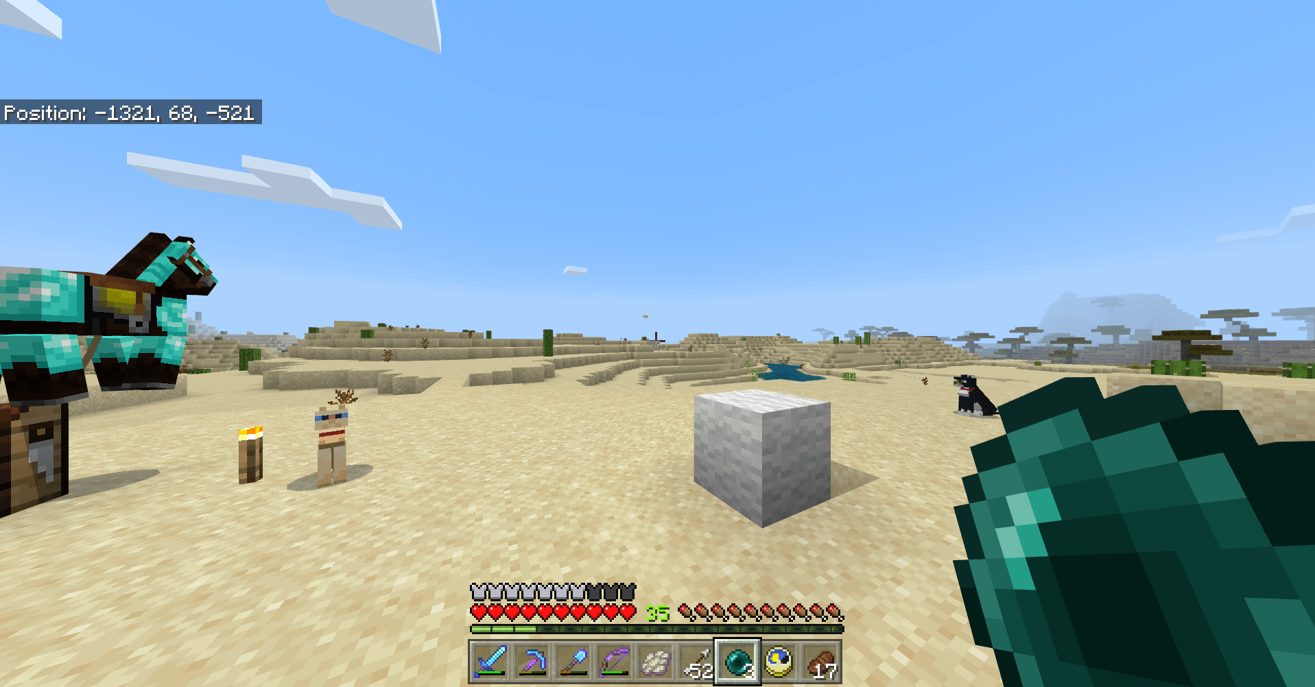 I spent 4 nights in a vast desert running around, trying to find