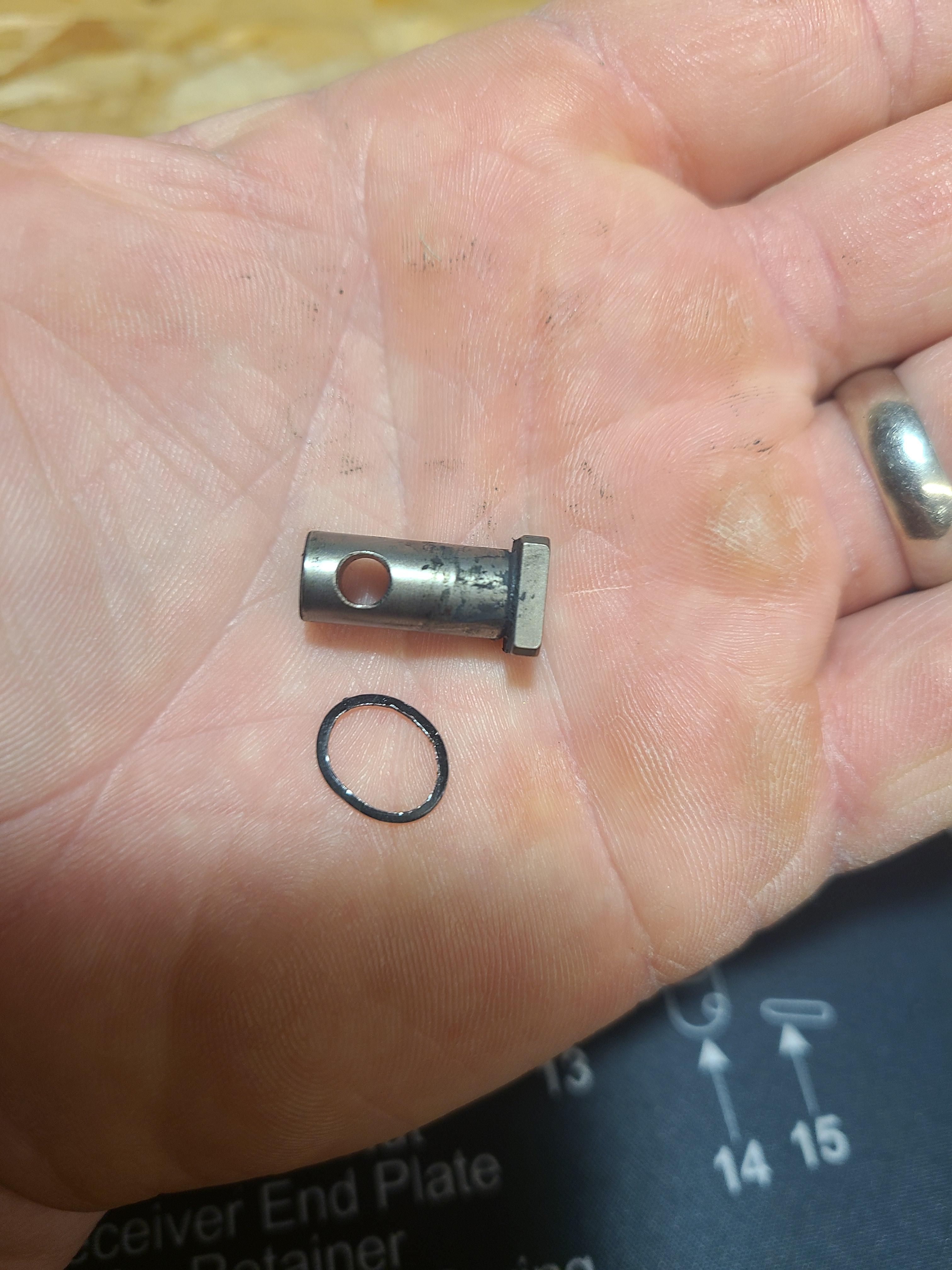 Wtf did I just find in my lower? Bolt cam pin for size reference. Build