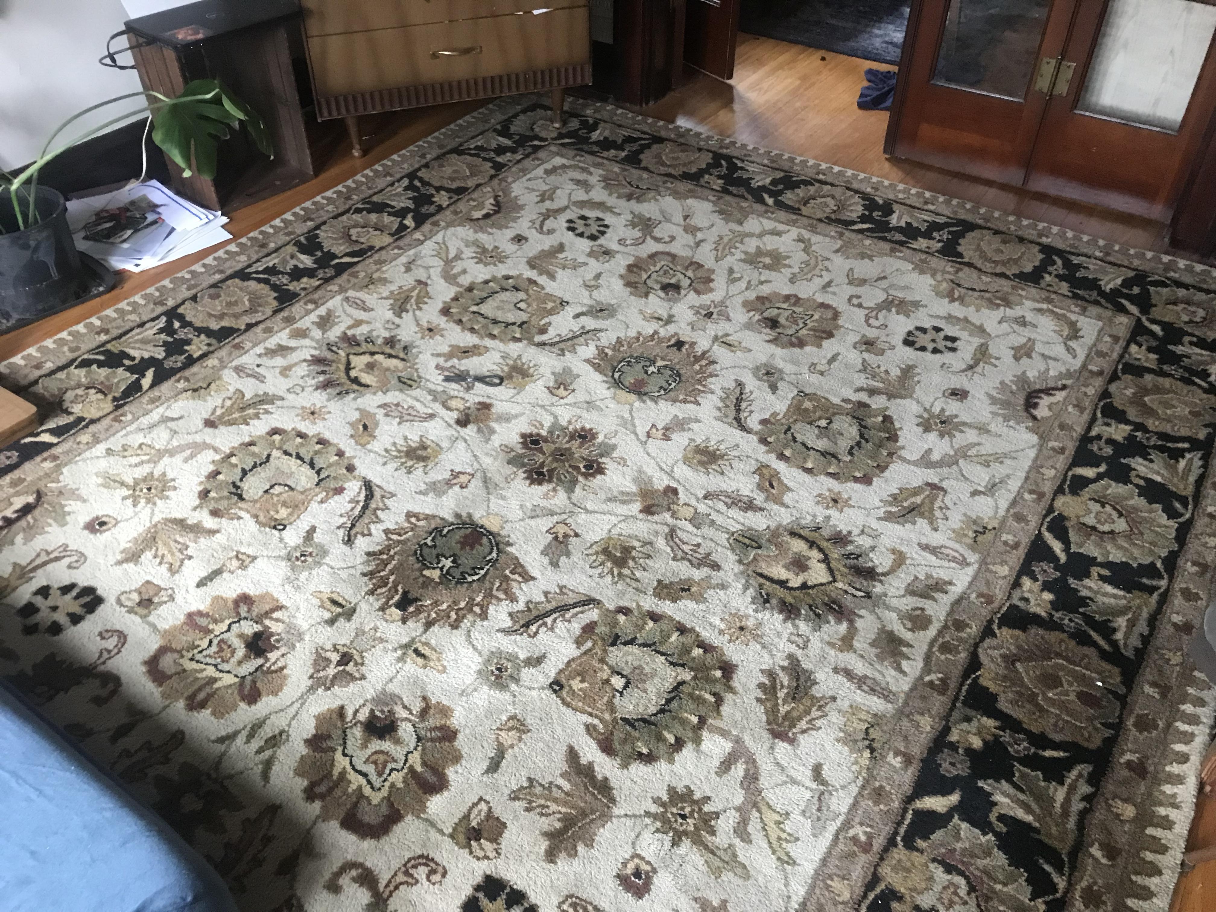 This rug for 20. r/ThriftStoreHauls