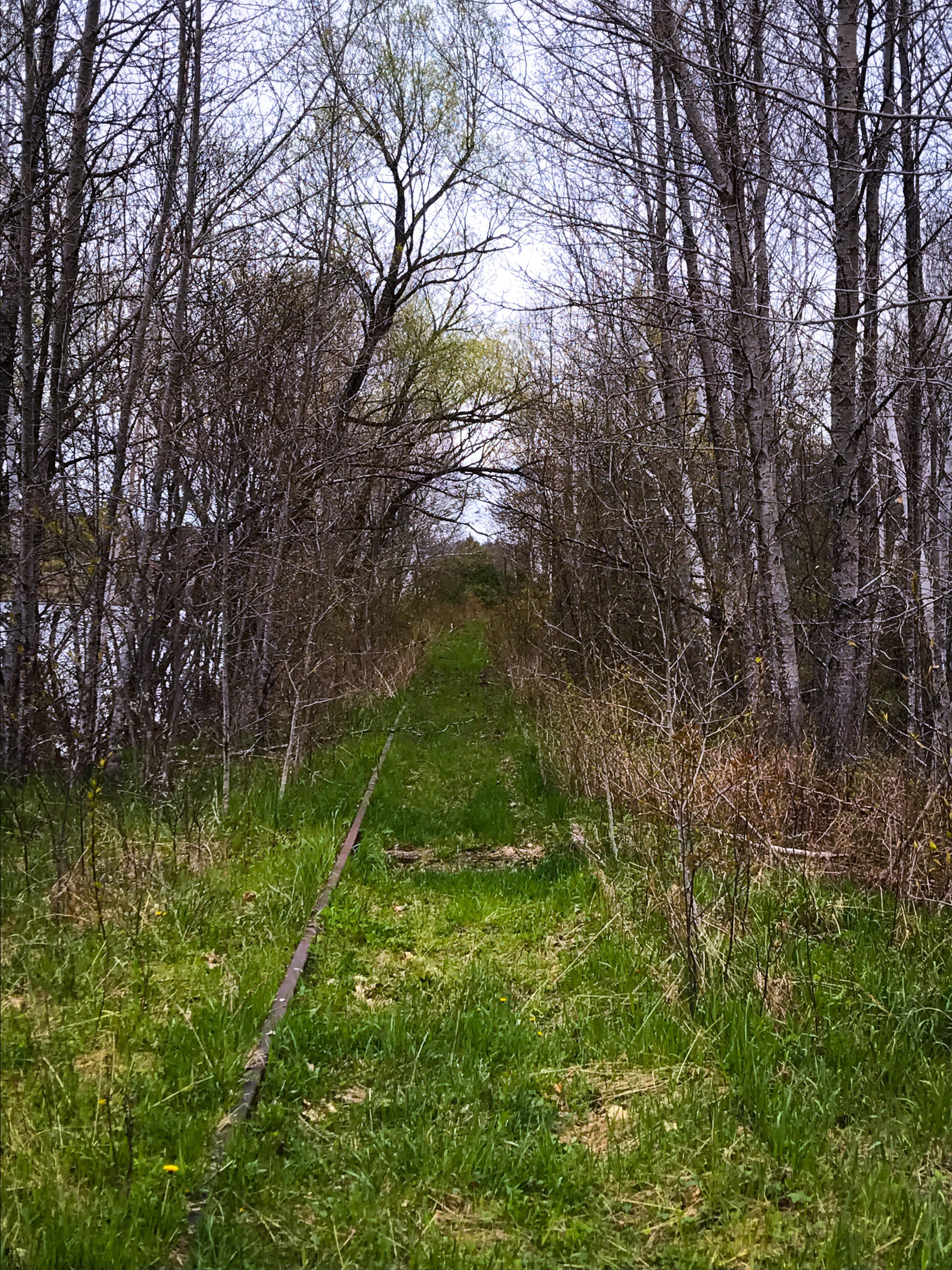 Old Iron Ore rail from one of the formerly largest pit mines in the US