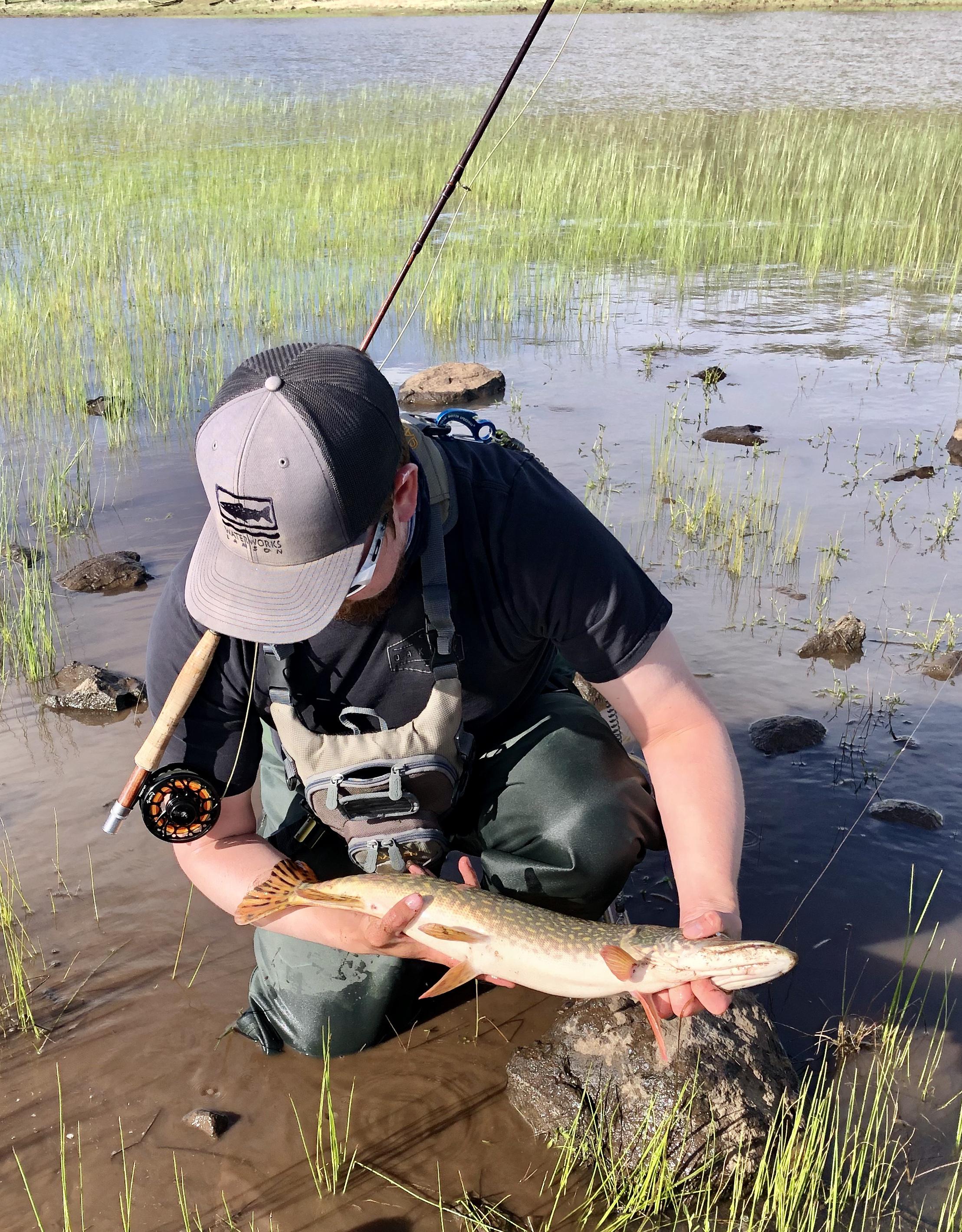 Beautiful Northern Pike smashing my flies! Lake Mary r/ArizonaFishing
