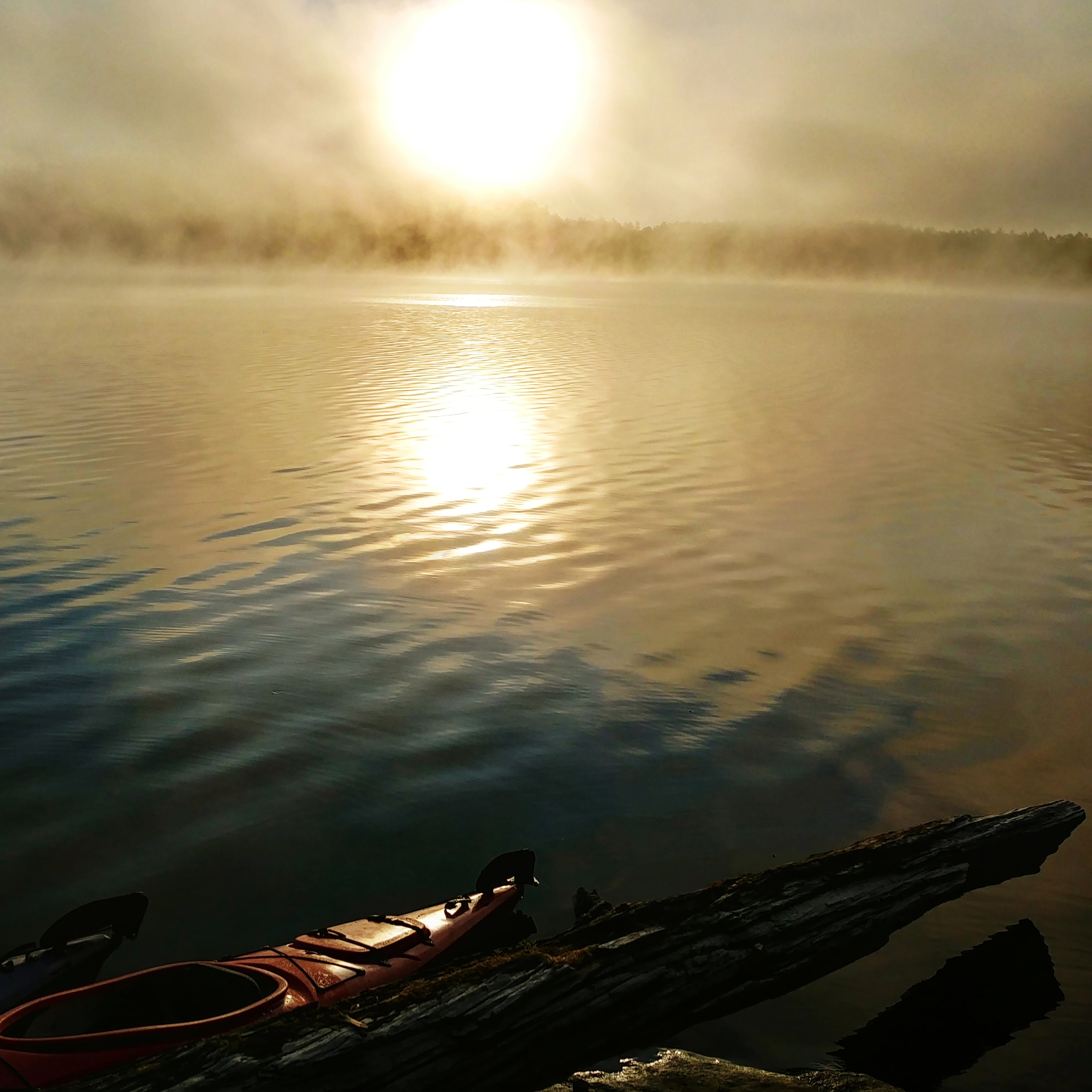 Sunrise in Northern Ontario r/Kayaking