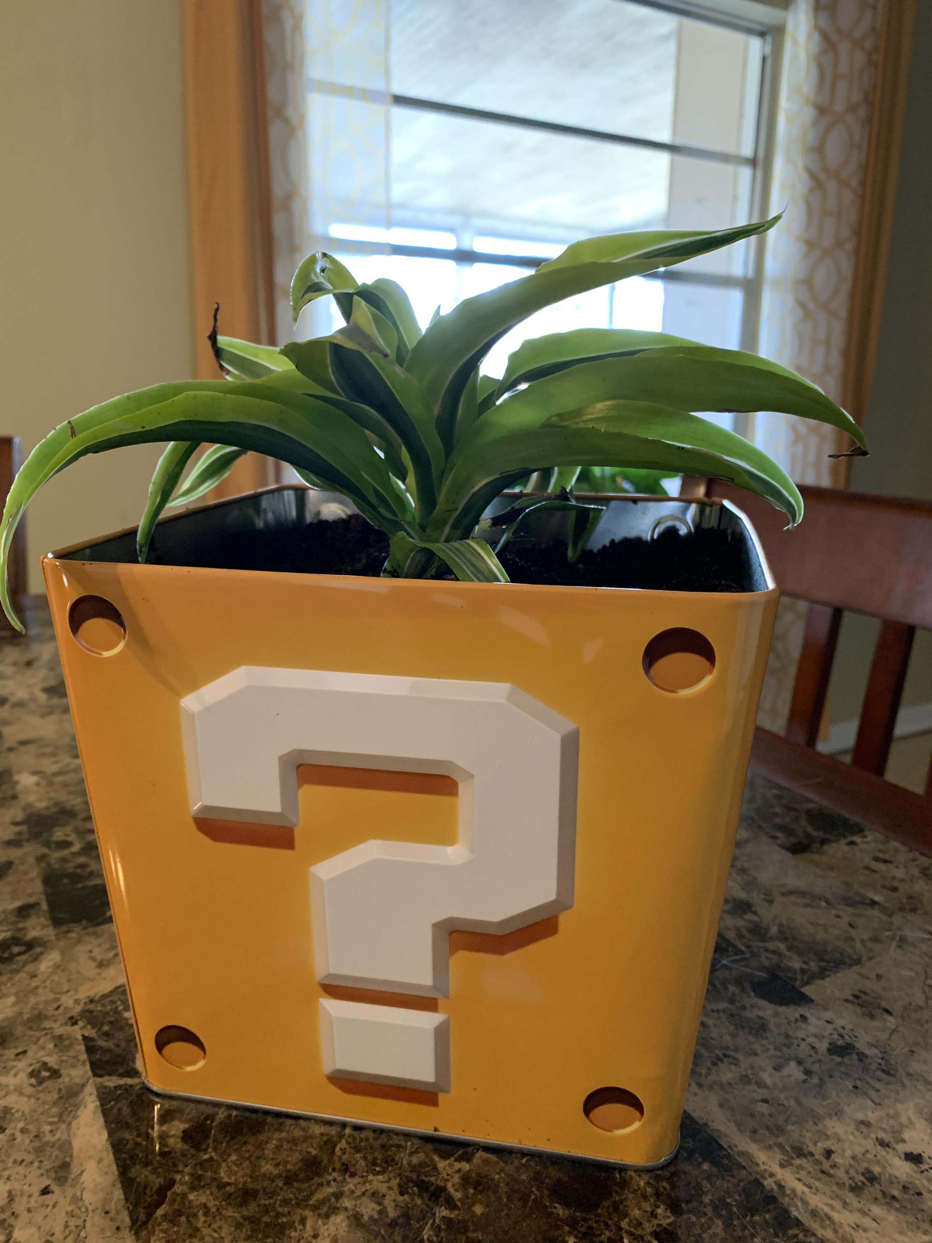 As soon as I saw this Mario movie popcorn bucket I knew it would make a