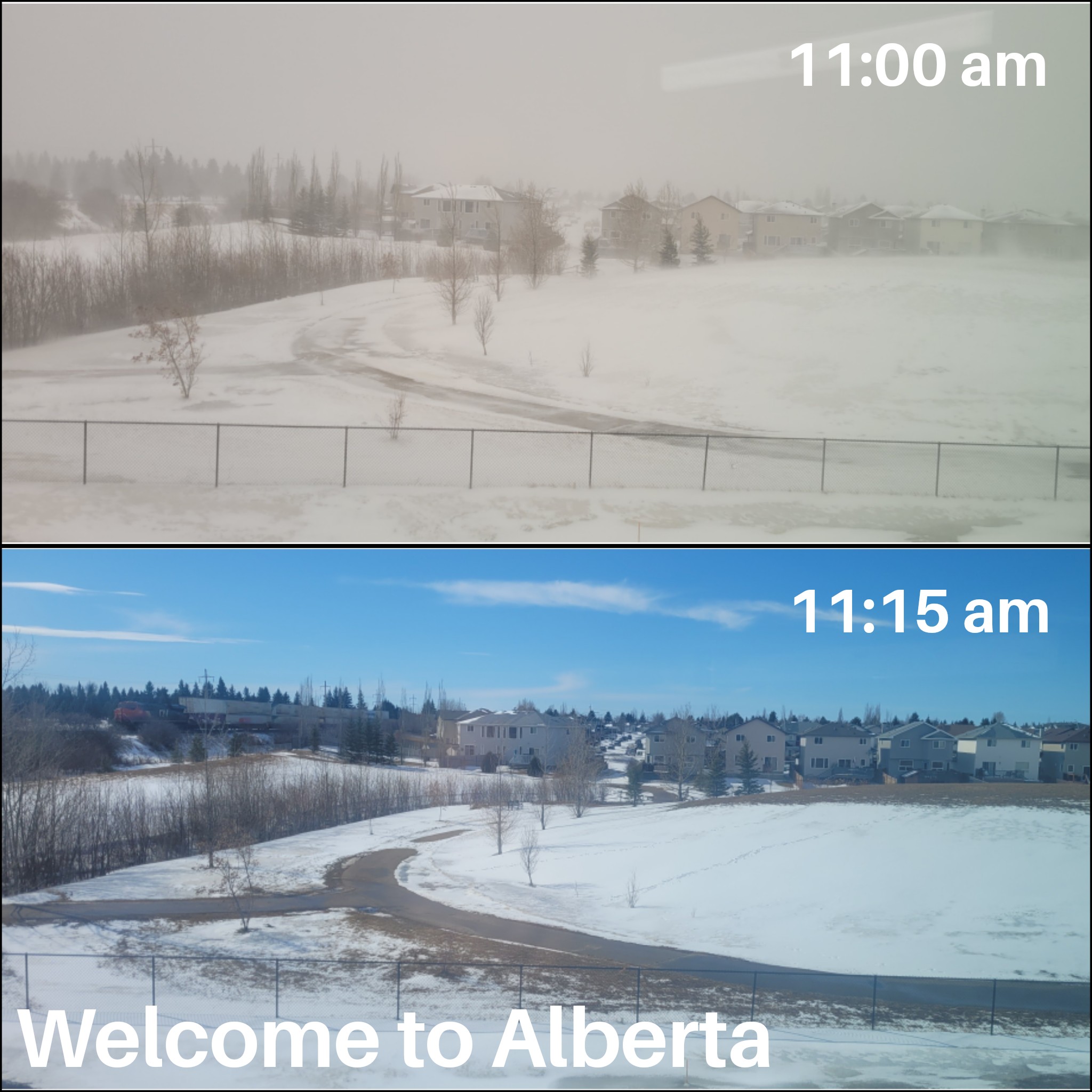 Finally, the first day of spring is here! r/alberta