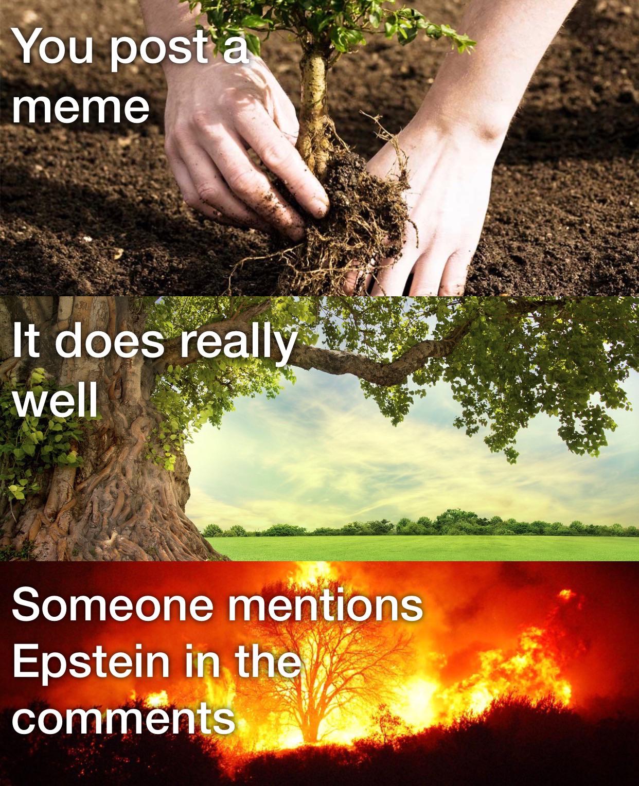Memes for Trees memes