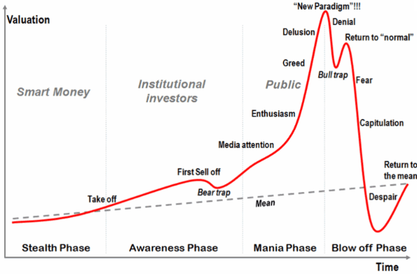 Proposing bitcoin is in the Bear trap stage of a bubble