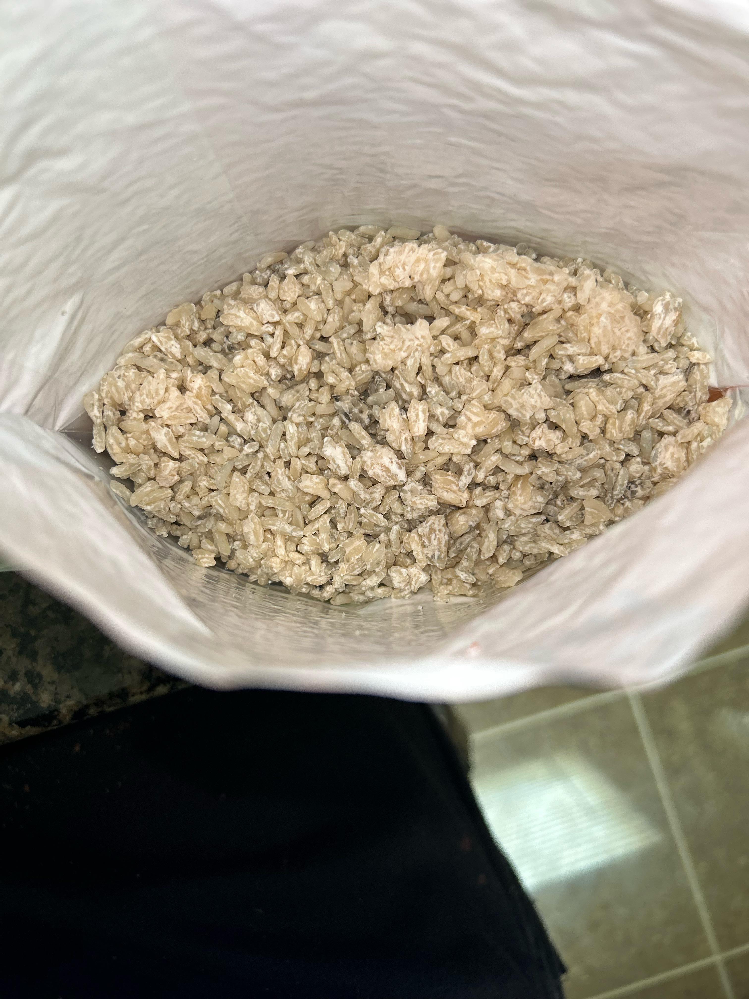 mold? or is jasmine rice supposed to look like this r/unclebens