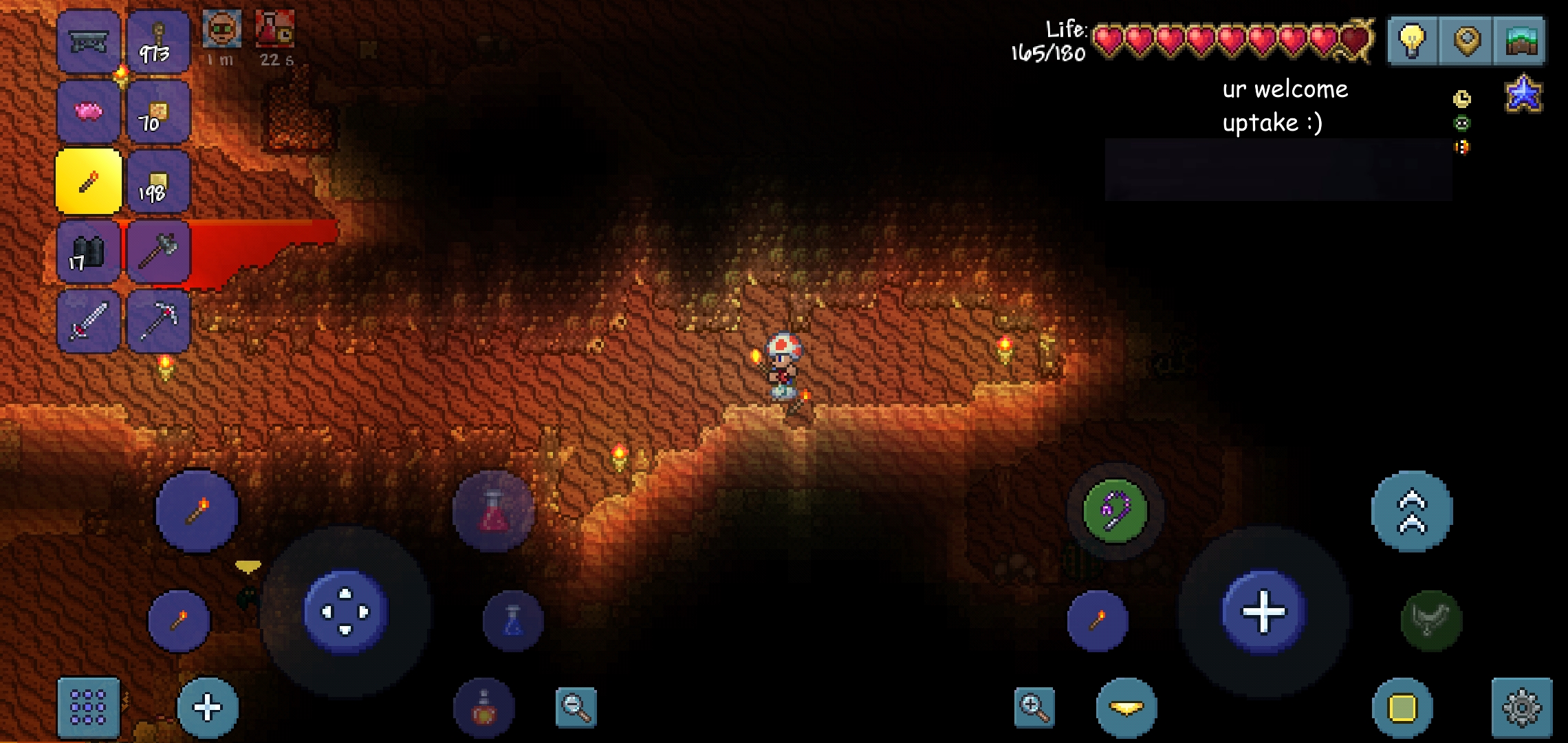 Found the most desert fossil I've ever seen r/Terraria