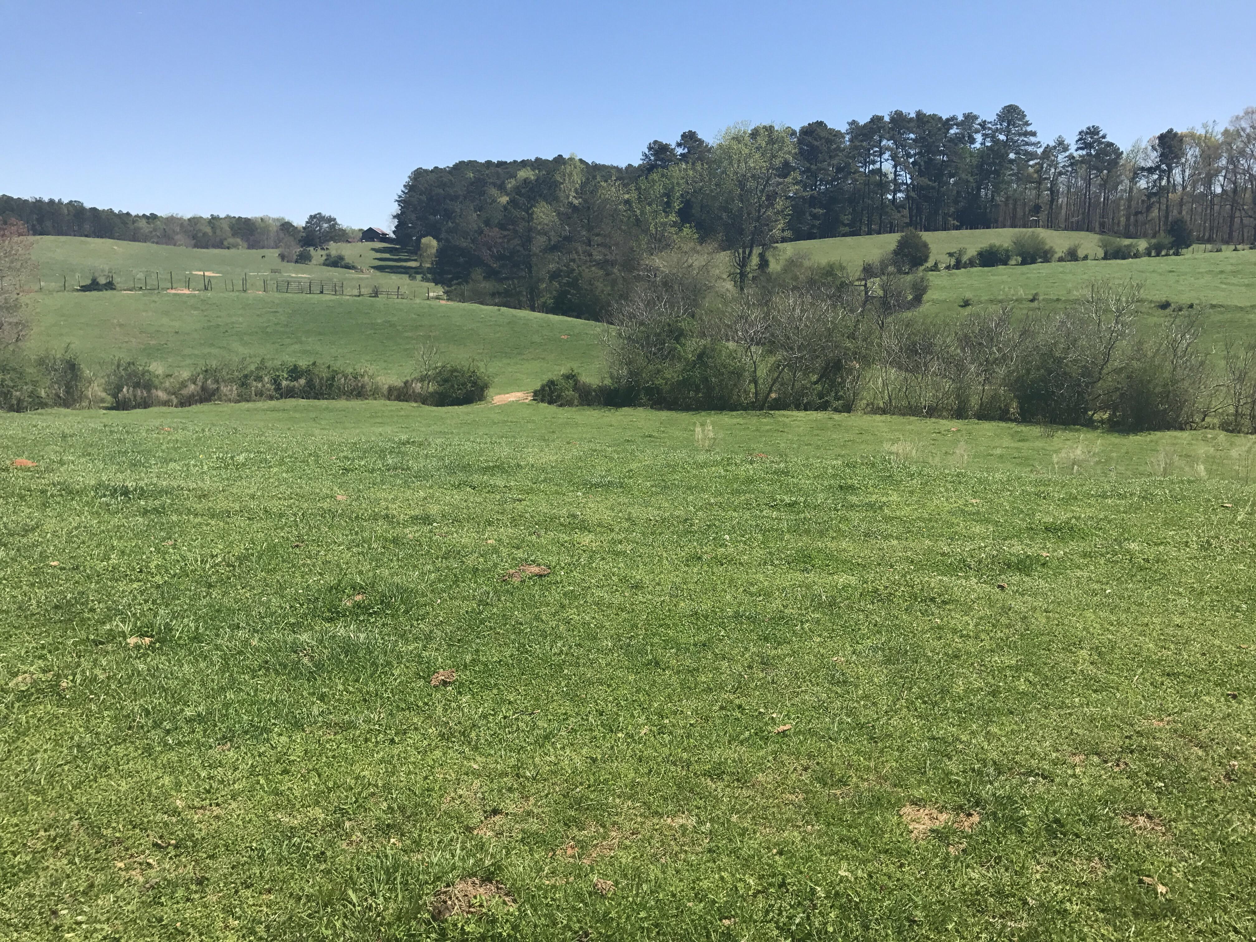 South Fulton stuntin on a sunny afternoon r/Atlanta