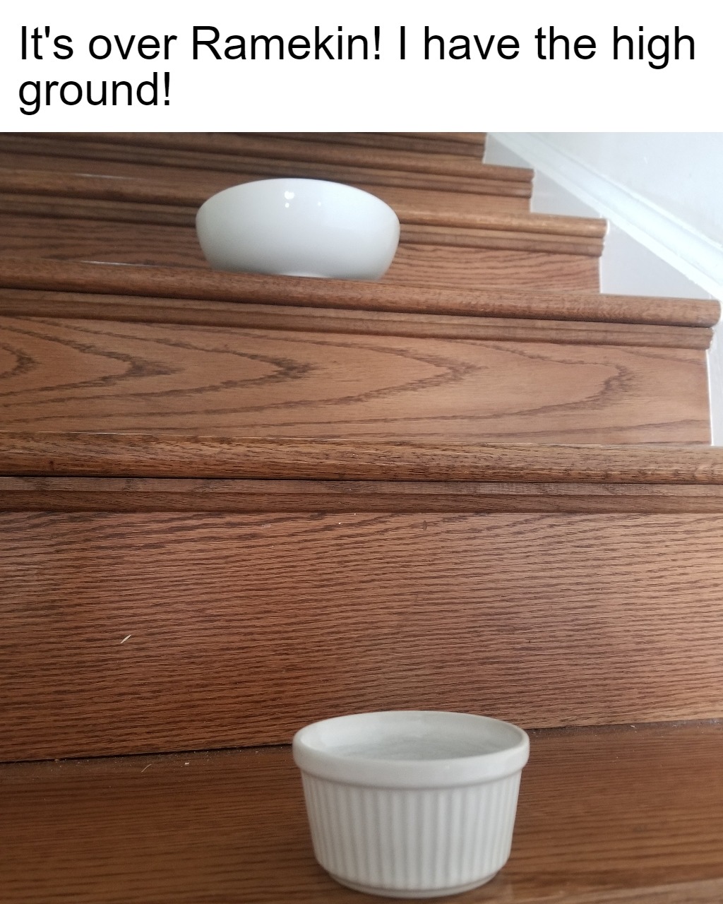 I think this sub needs Ramekin memes. r/PrequelMemes