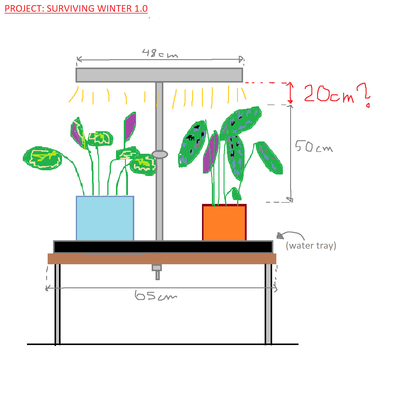 How bright does artificial light need to be for taller Calatheas? How