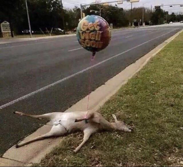 Cursed deer Cursed_Images