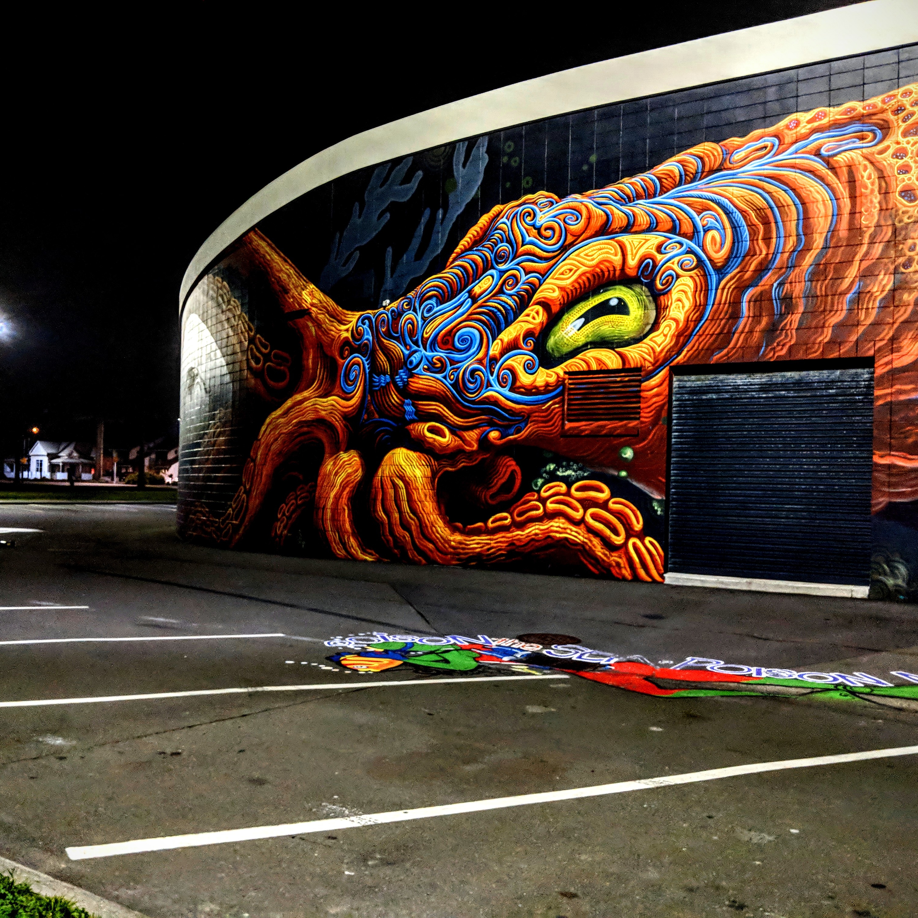 Octopus painted onto the National Aquarium, Napier, NZ r/pics