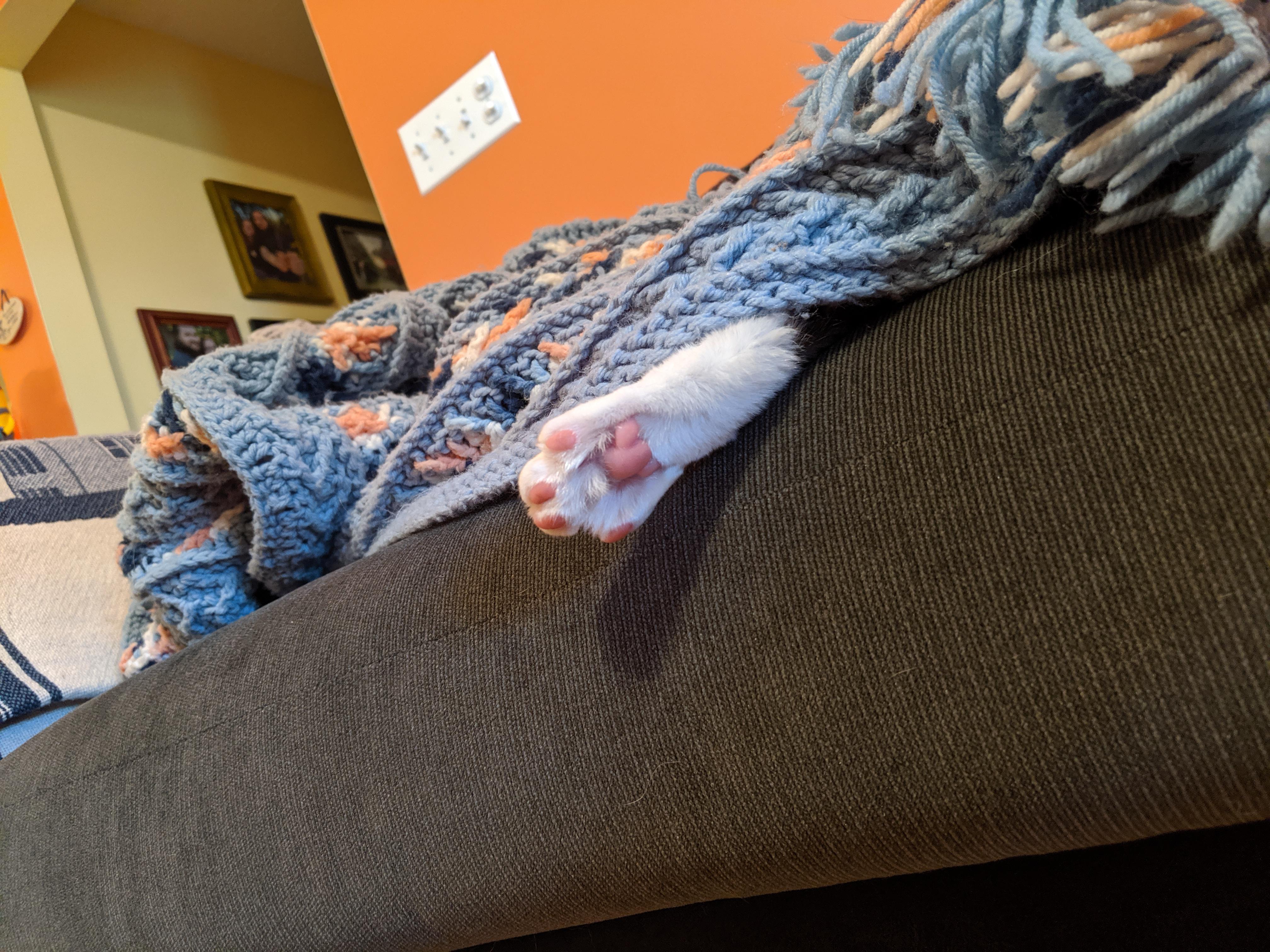 When you're too hot under the blanket and have to stick your foot out