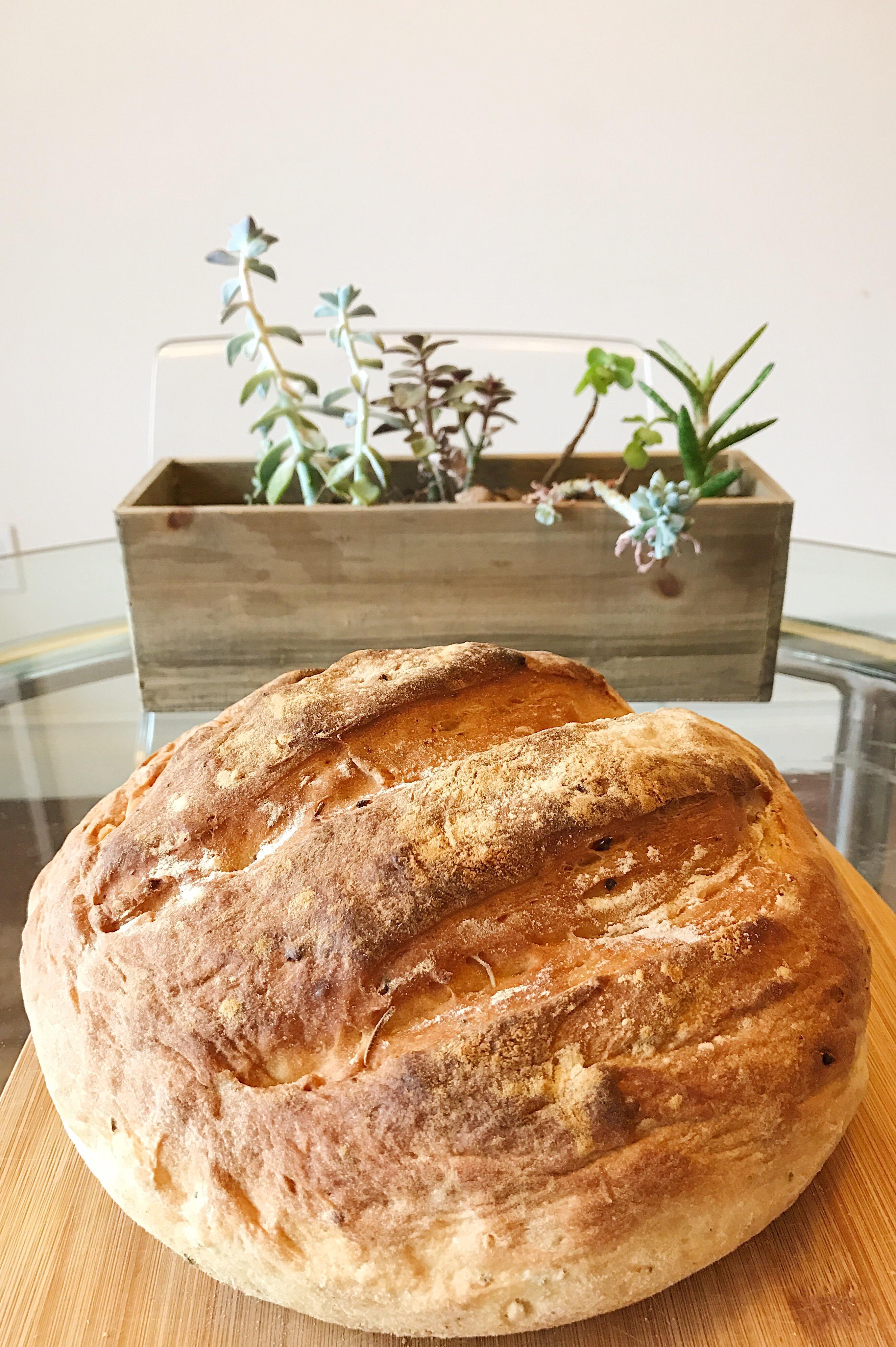 [homemade] Garlic Rosemary Thyme Olive Oil Artisan Bread r/food