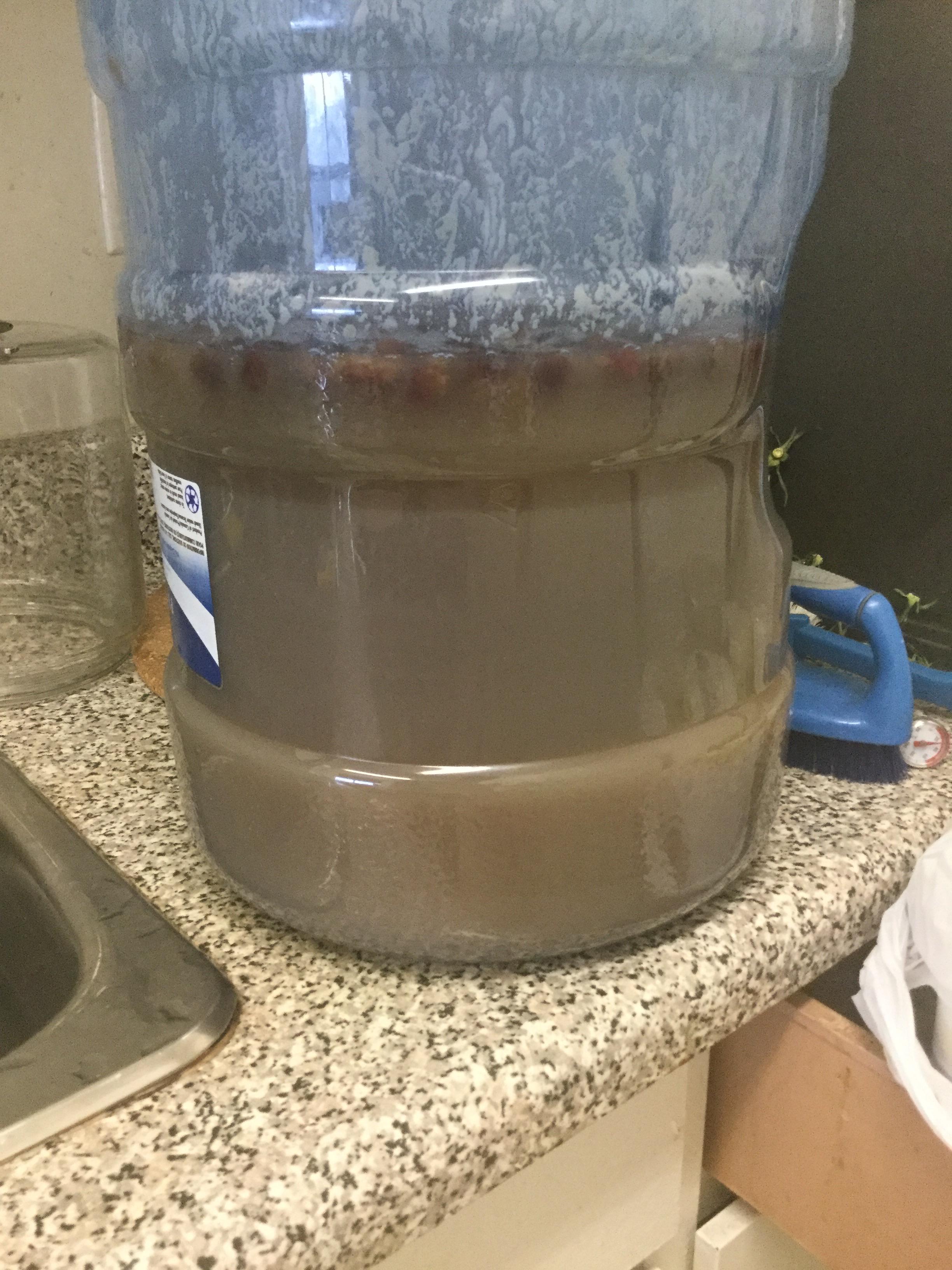 Why is my mead separating into layers? It’s only been fermenting for 2