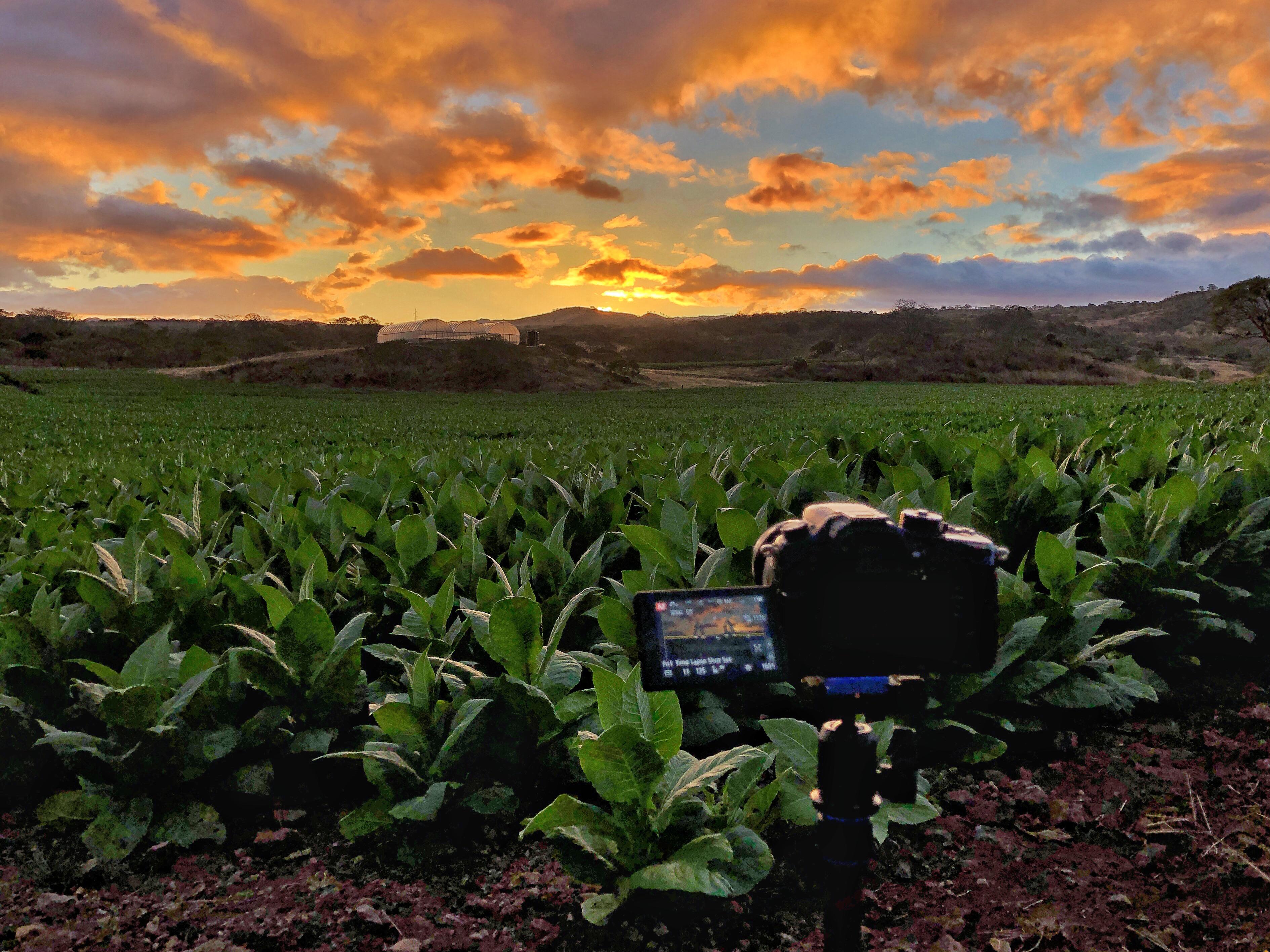 Took the Gh5 to Nicaragua for a documentary shoot. Was not disappointed