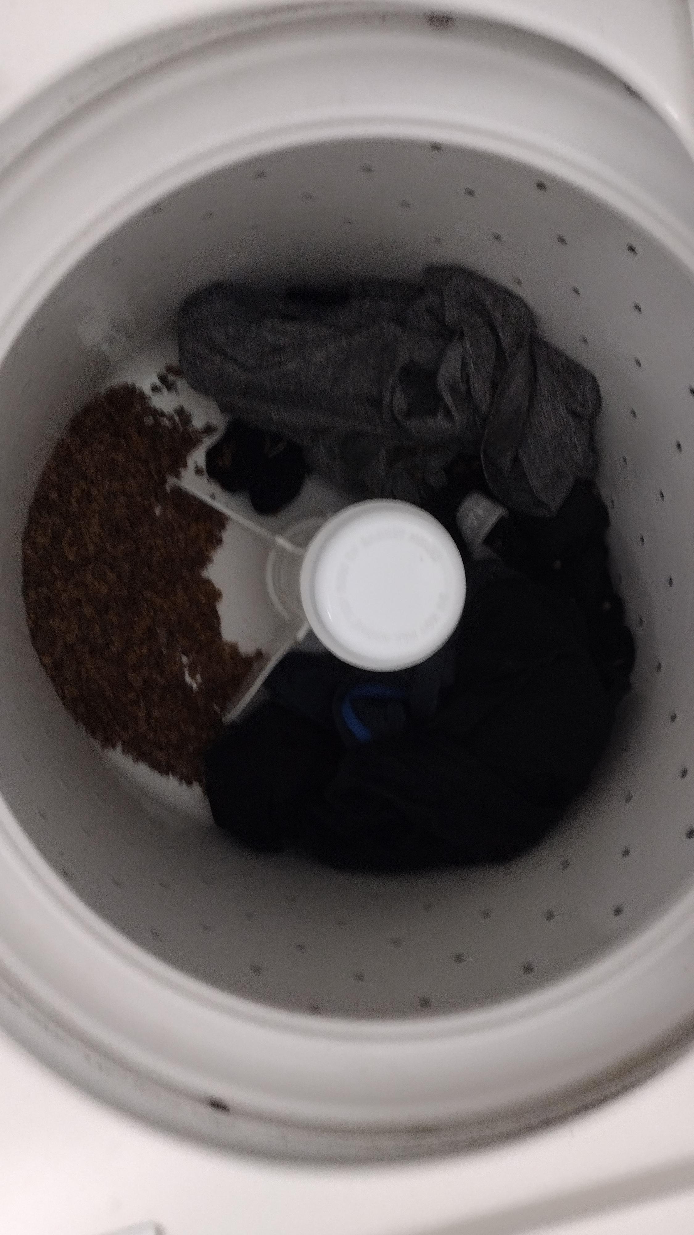 So keeping cat food on top of my dryer was a bad idea. r