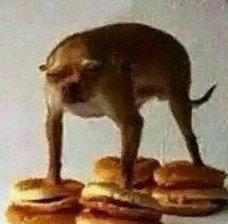 Hamburger feet r/WeirdPics