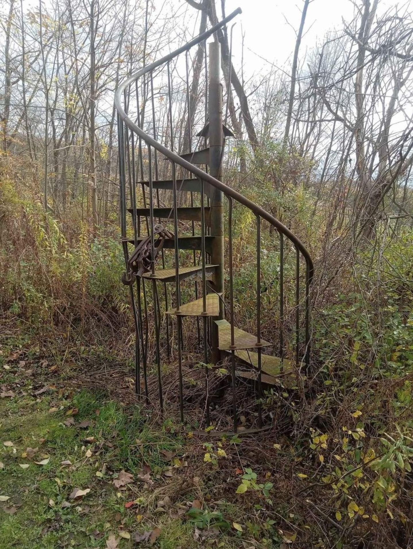 Staircase to nowhere in the middle of the woods r/Weird