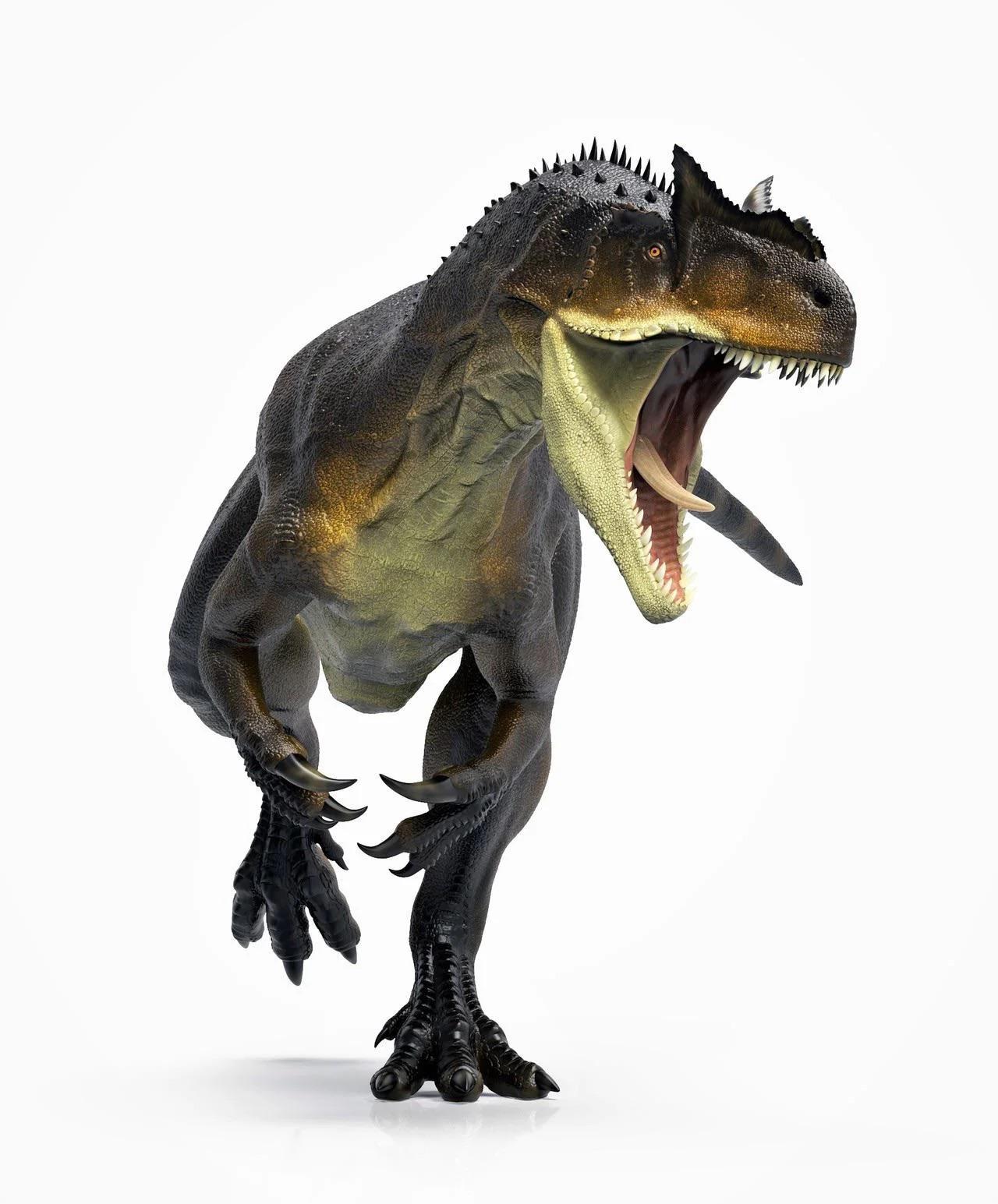 Saurophaganx (allosaurus Maximus) king of the Jurassic Dinosaurs