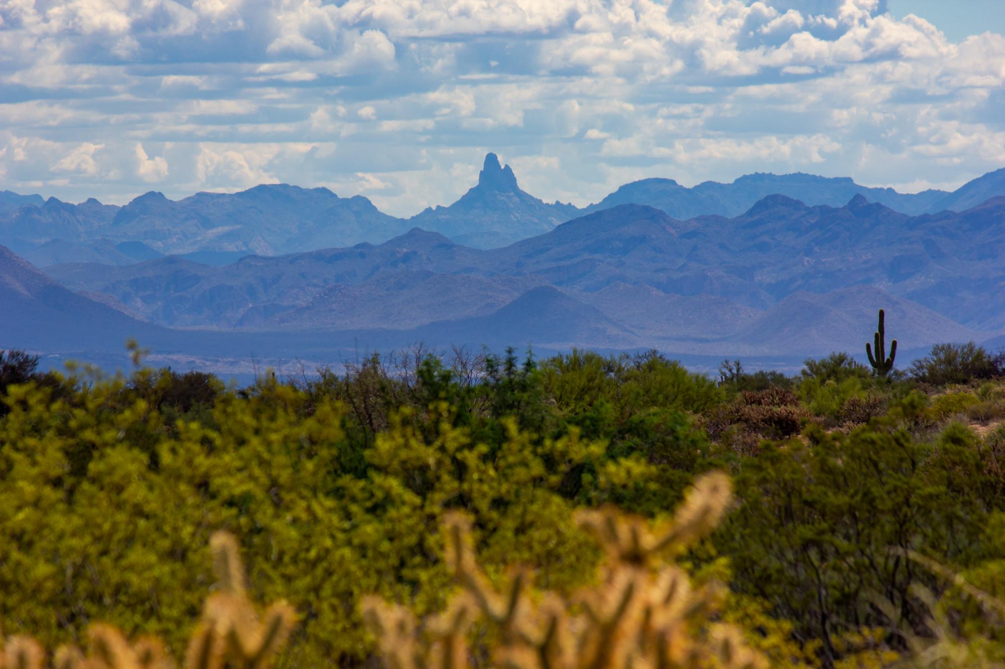 From the north end of McDowell Mountain Regional Park looking towards Fountain Hills. 10818