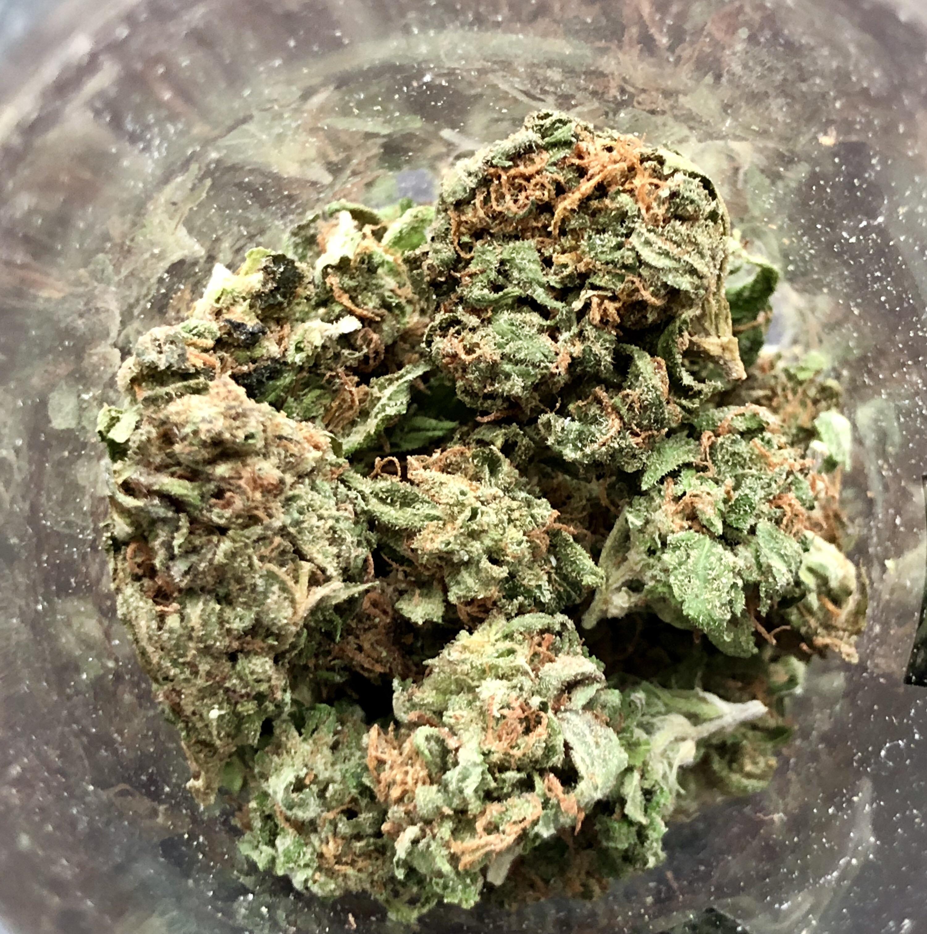 🧀🧀 Cheese wreck x blue dream r/ausents