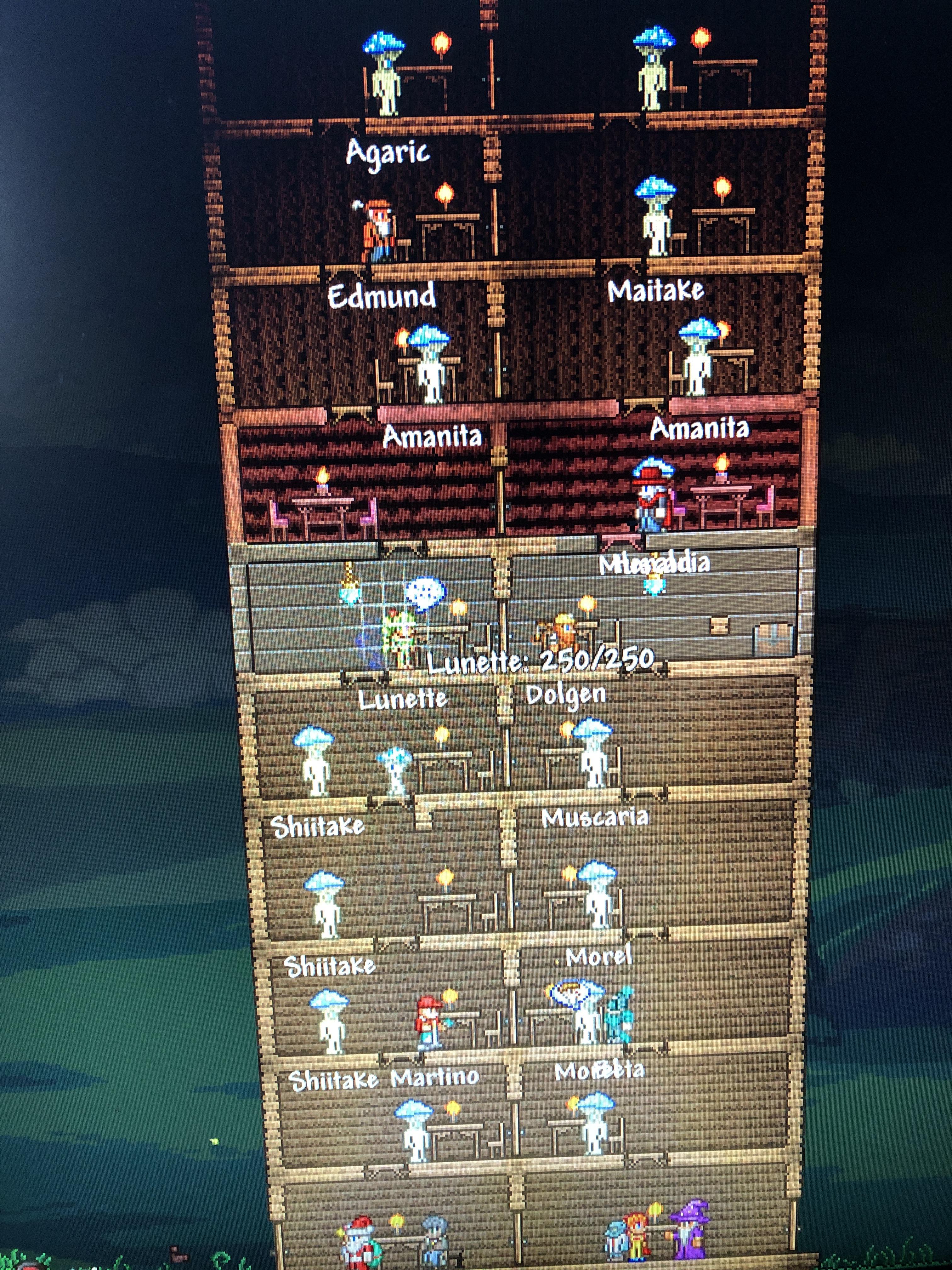 Why do mushrooms keep spawning in my house(sorry for bad quality) r