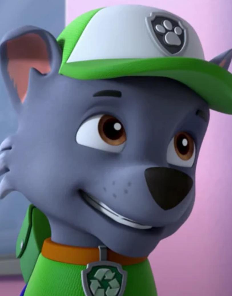 Paw Patrol Rocky Logo