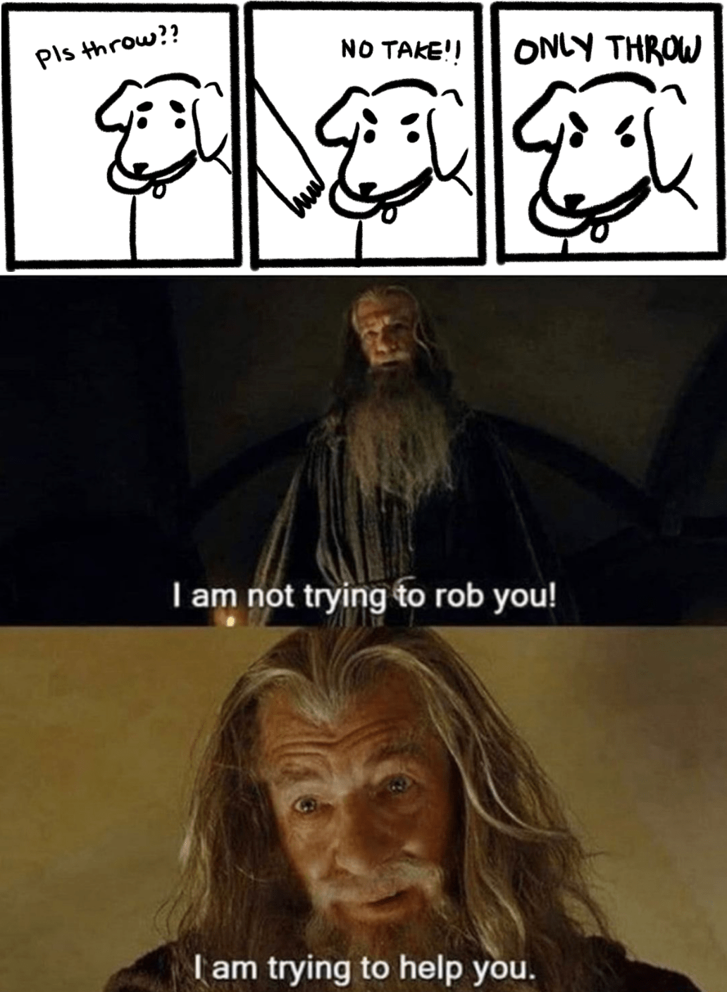 You Are A Thief Meme JakaAttacker