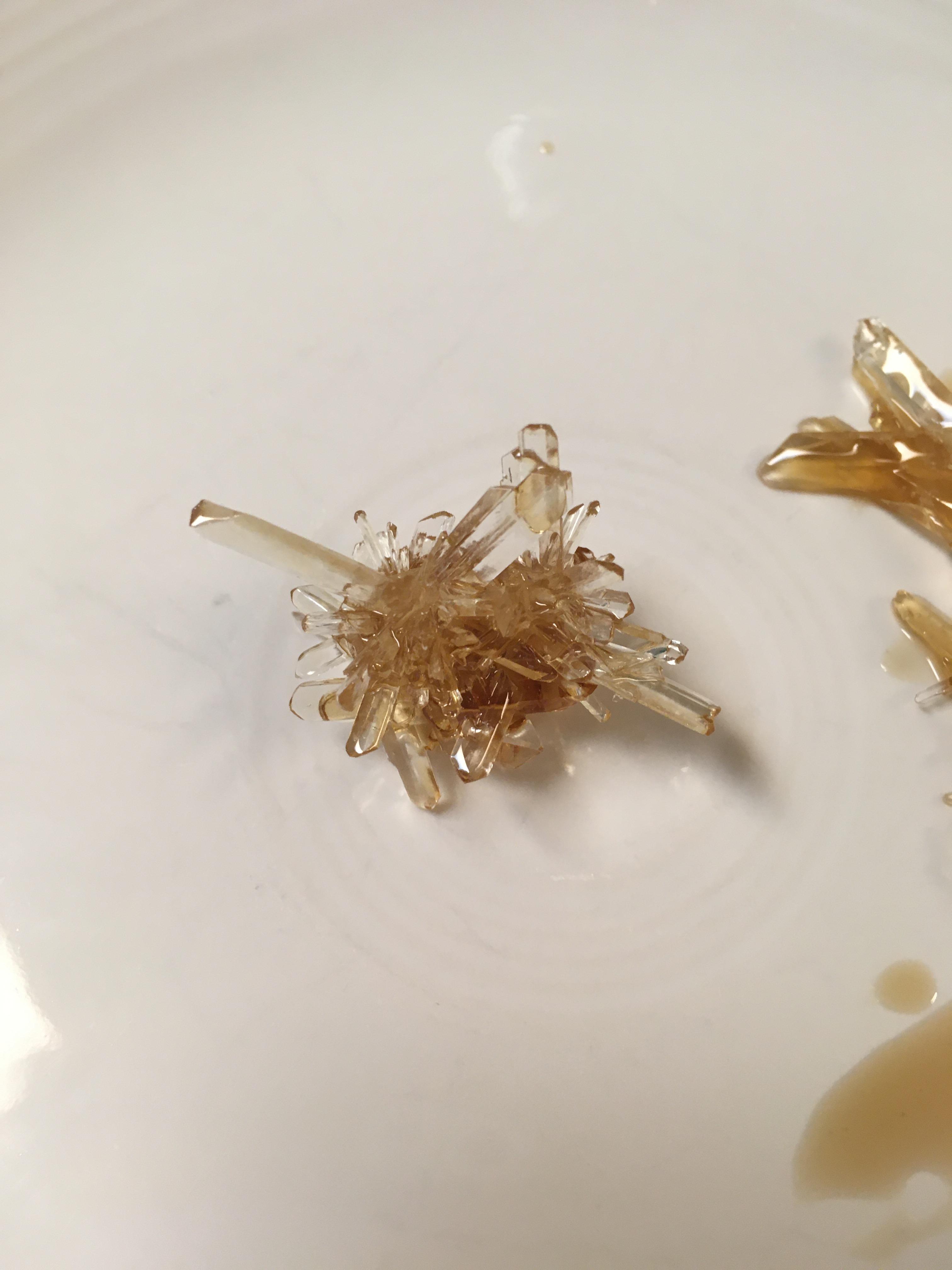 Sugar crystal that formed at the bottom of my maple syrup r