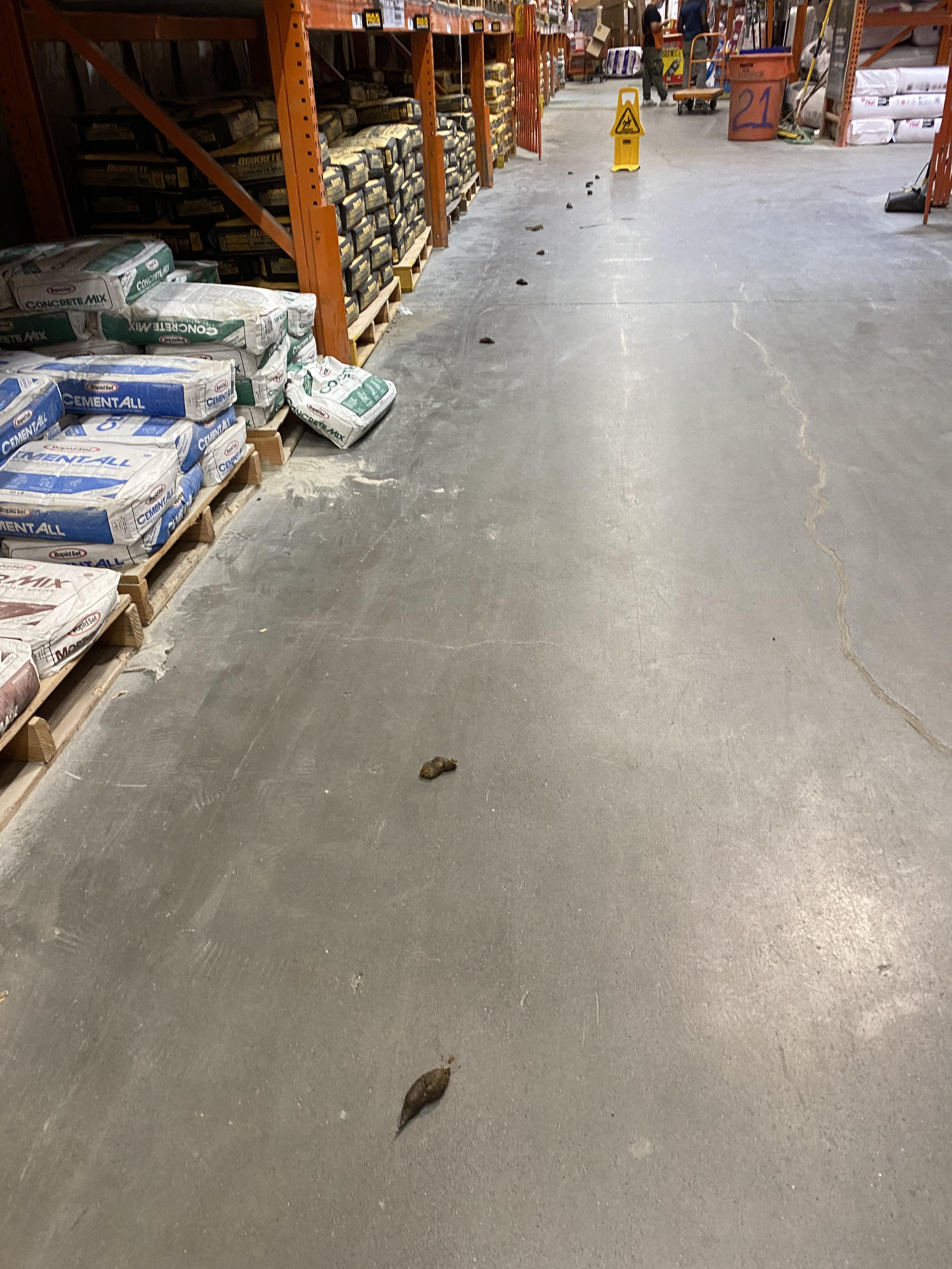 How To Stop Dog Pooping On Concrete