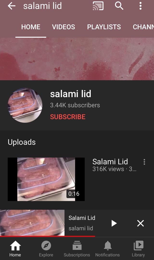 Salami lid r/memes