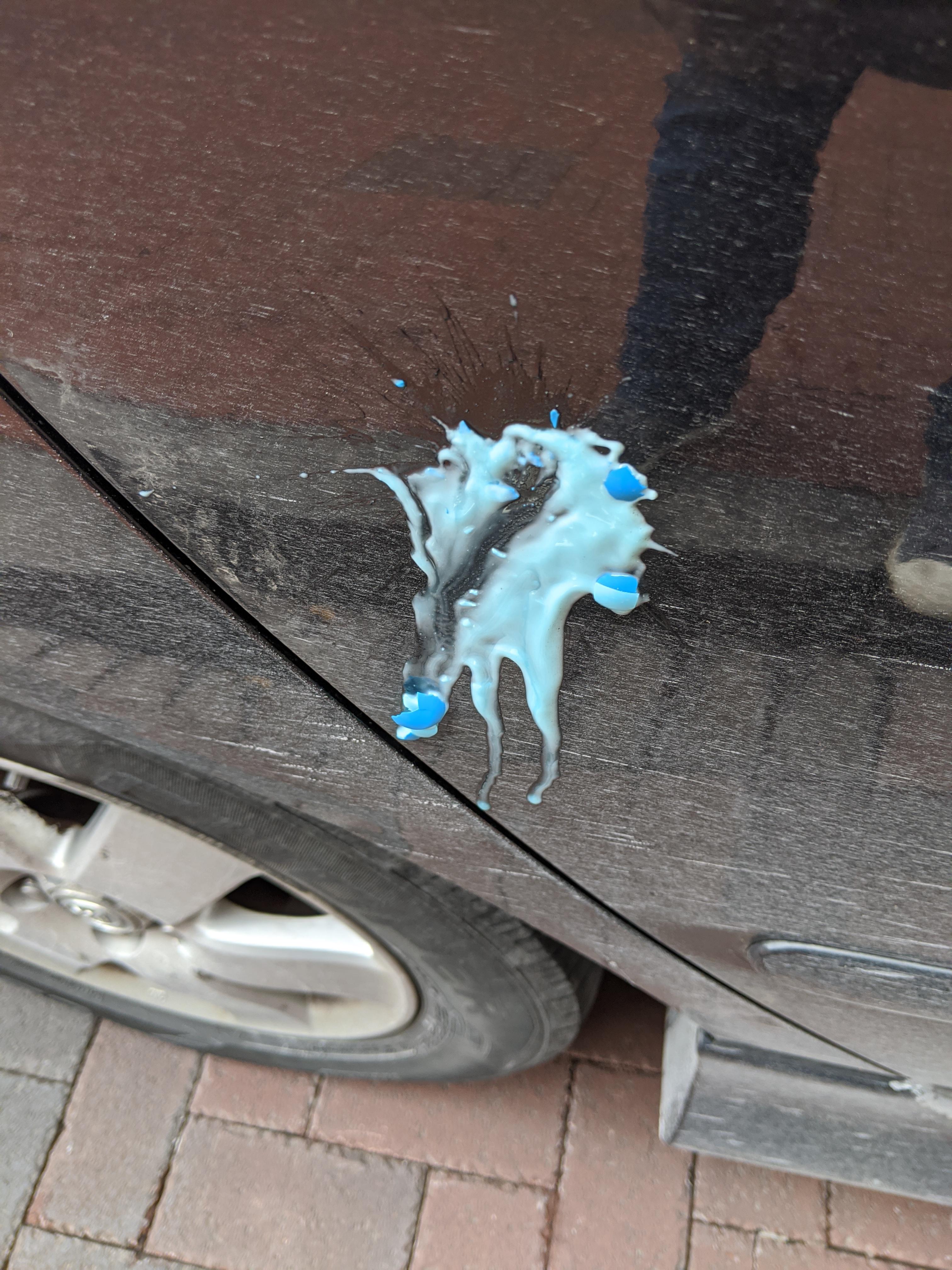 To the person shooting cars with a paintball gun in the Hilltop... r