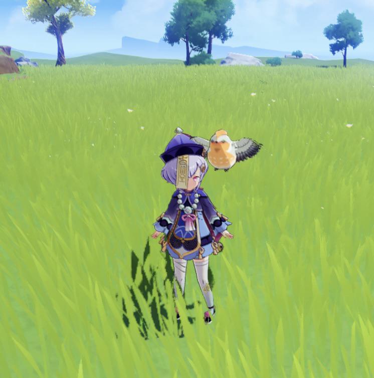 Finally got Qiqi the pet finch she’s always wanted for my teapot ) r