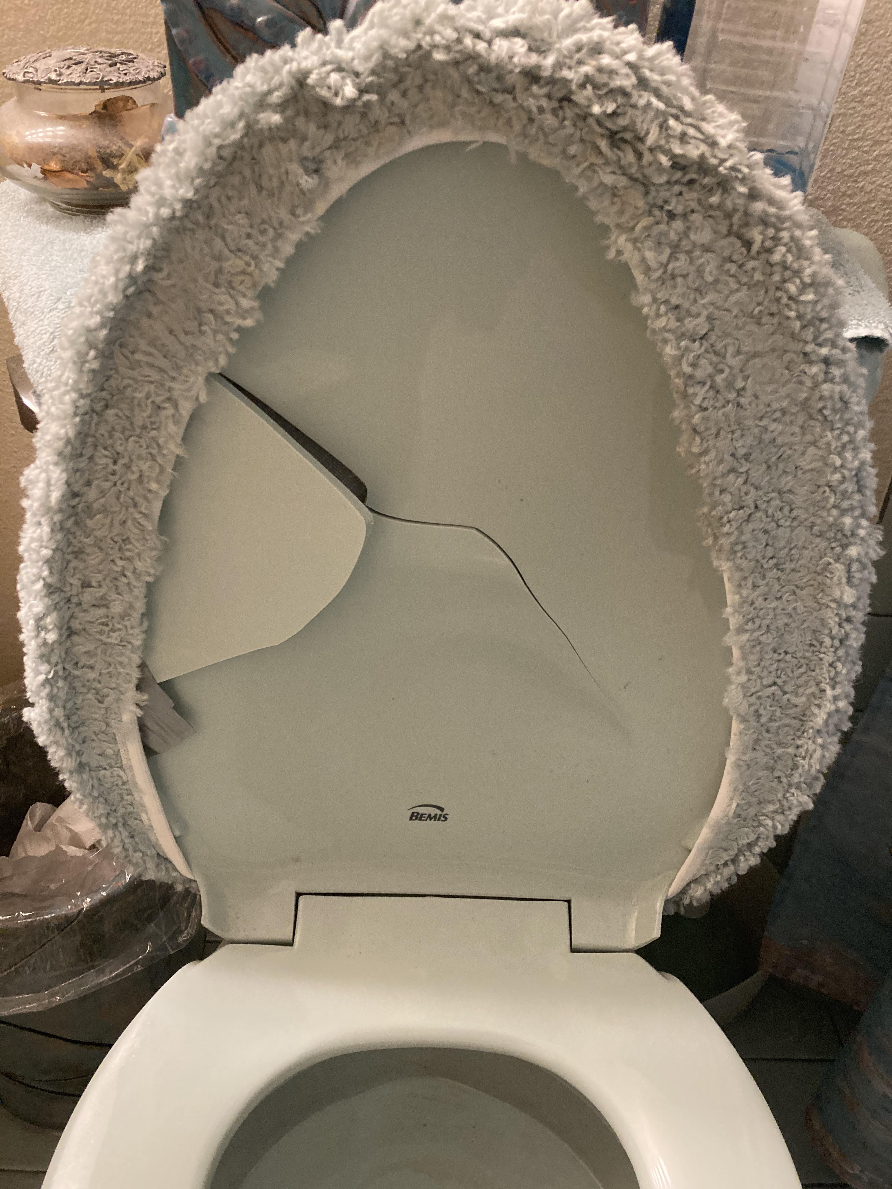 Not only is this toilet seat broken, it’s also carpet covered r