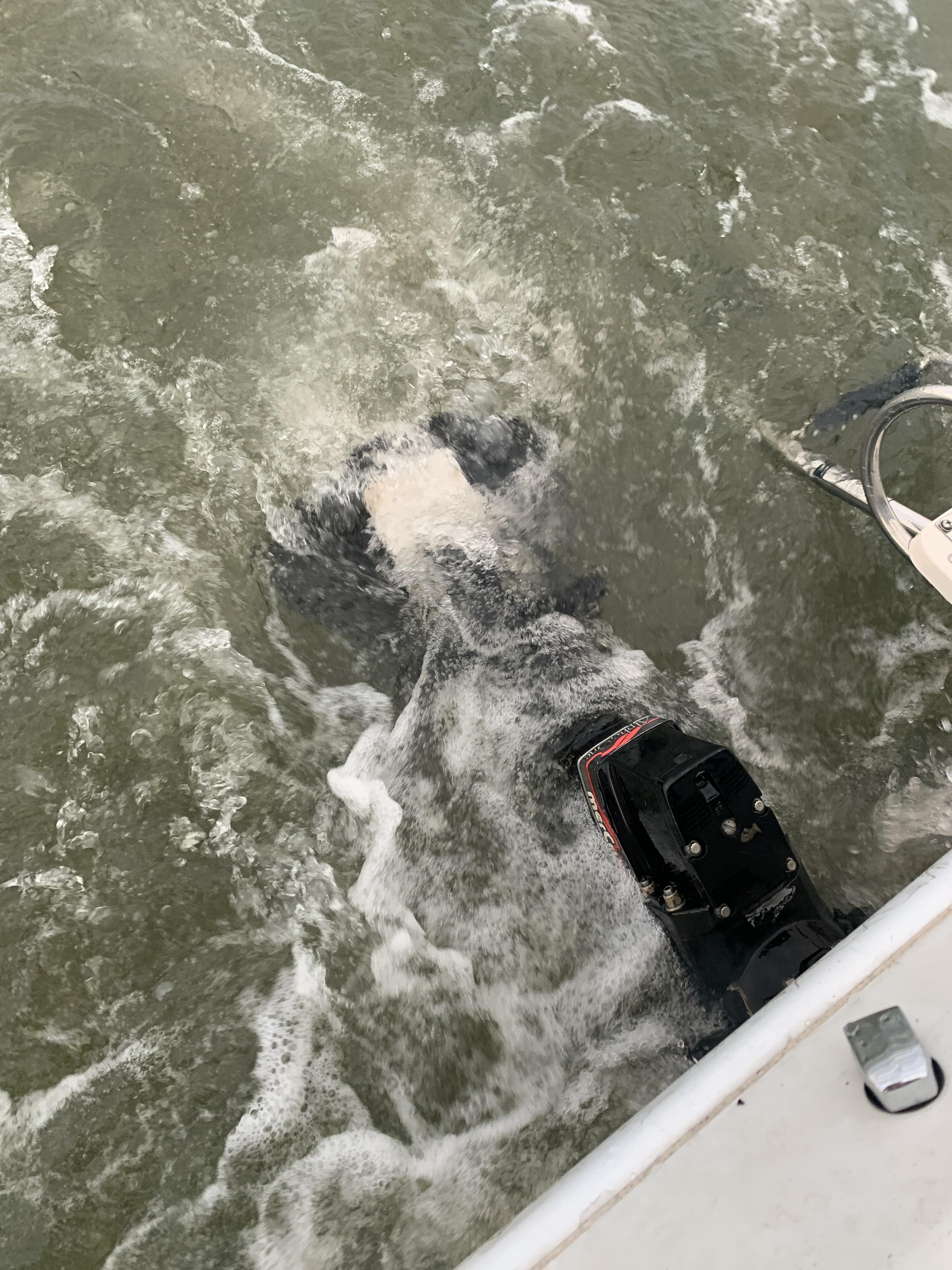 Out on the water, trim is stuck. SEND HELP!! r/boating