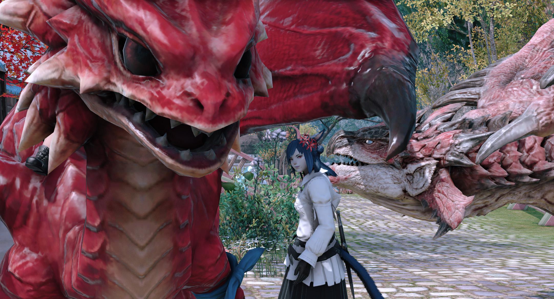 Me and Rathalos when I see the new dragon r/ffxiv