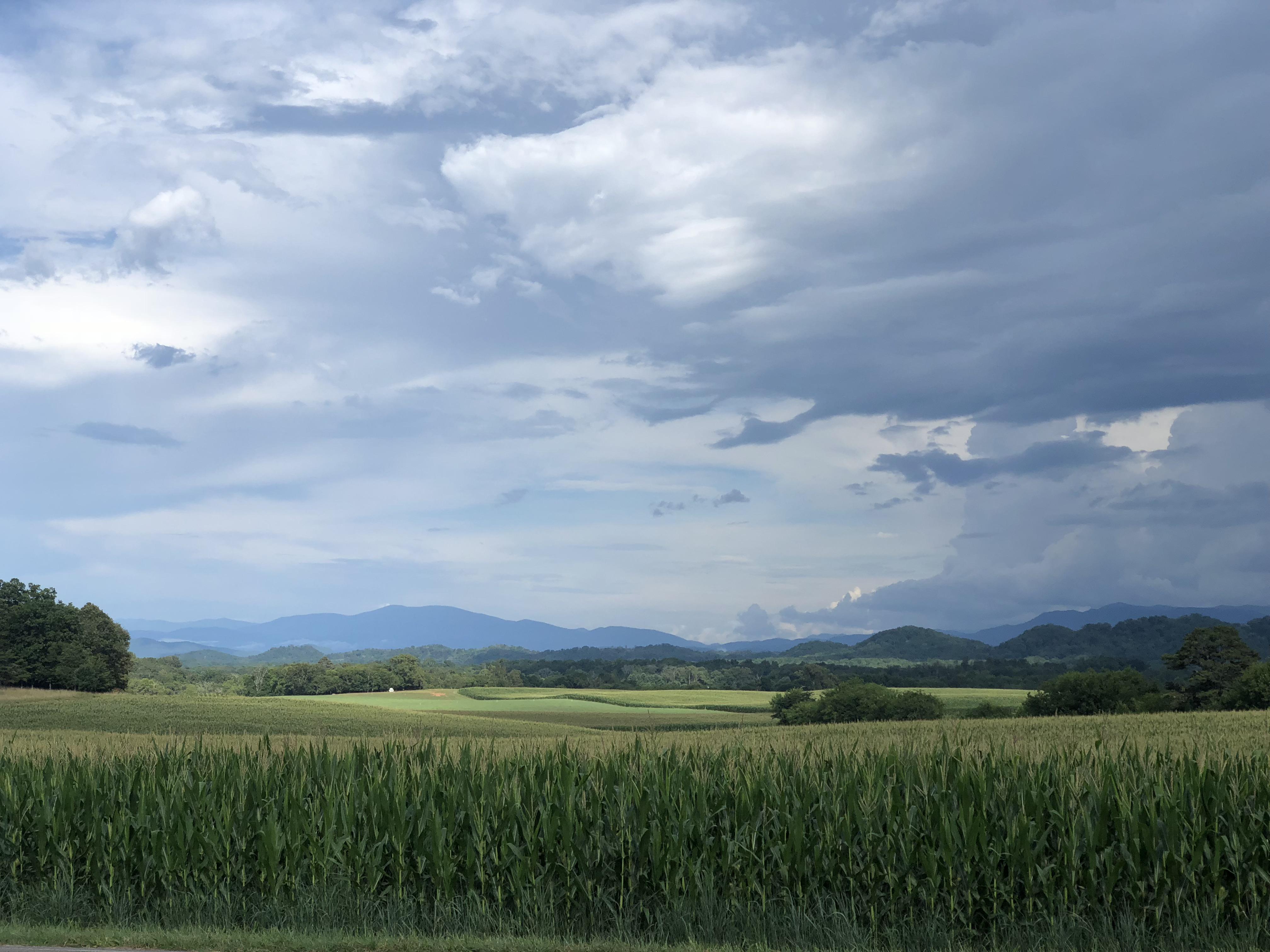 Rural Route Picture. (East Tennessee) r/USPS
