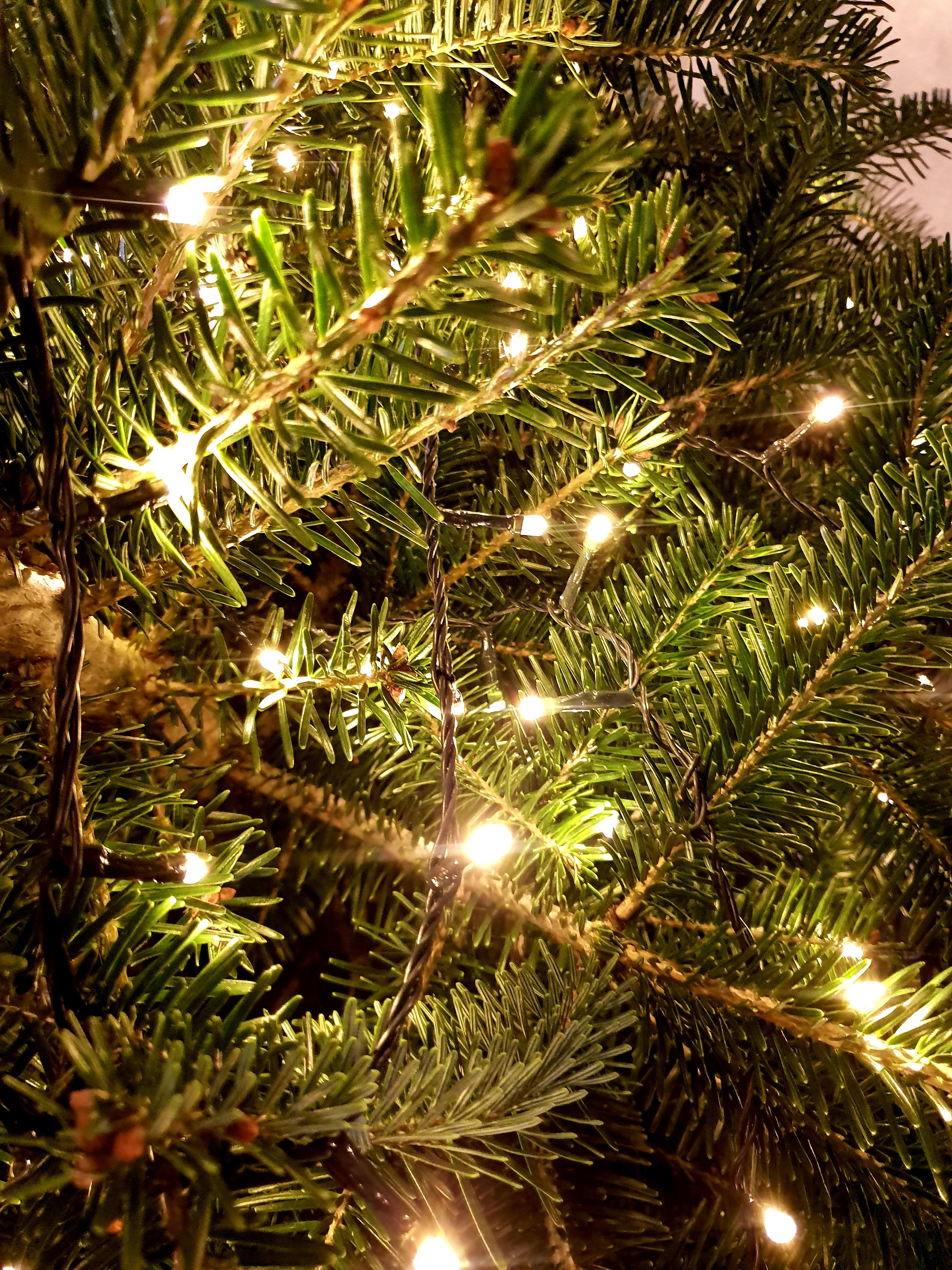 Christmas lights r/iWallpaper