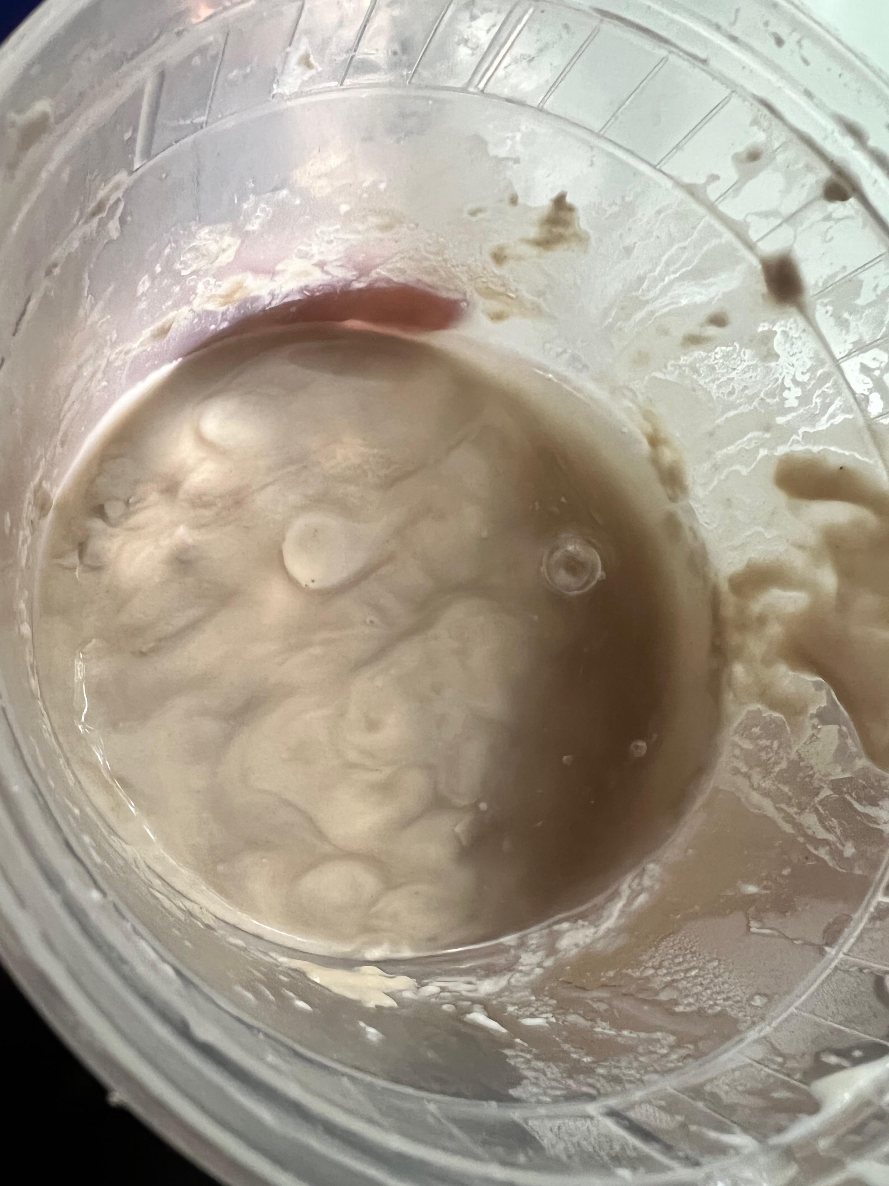 starter still OK? r/Sourdough