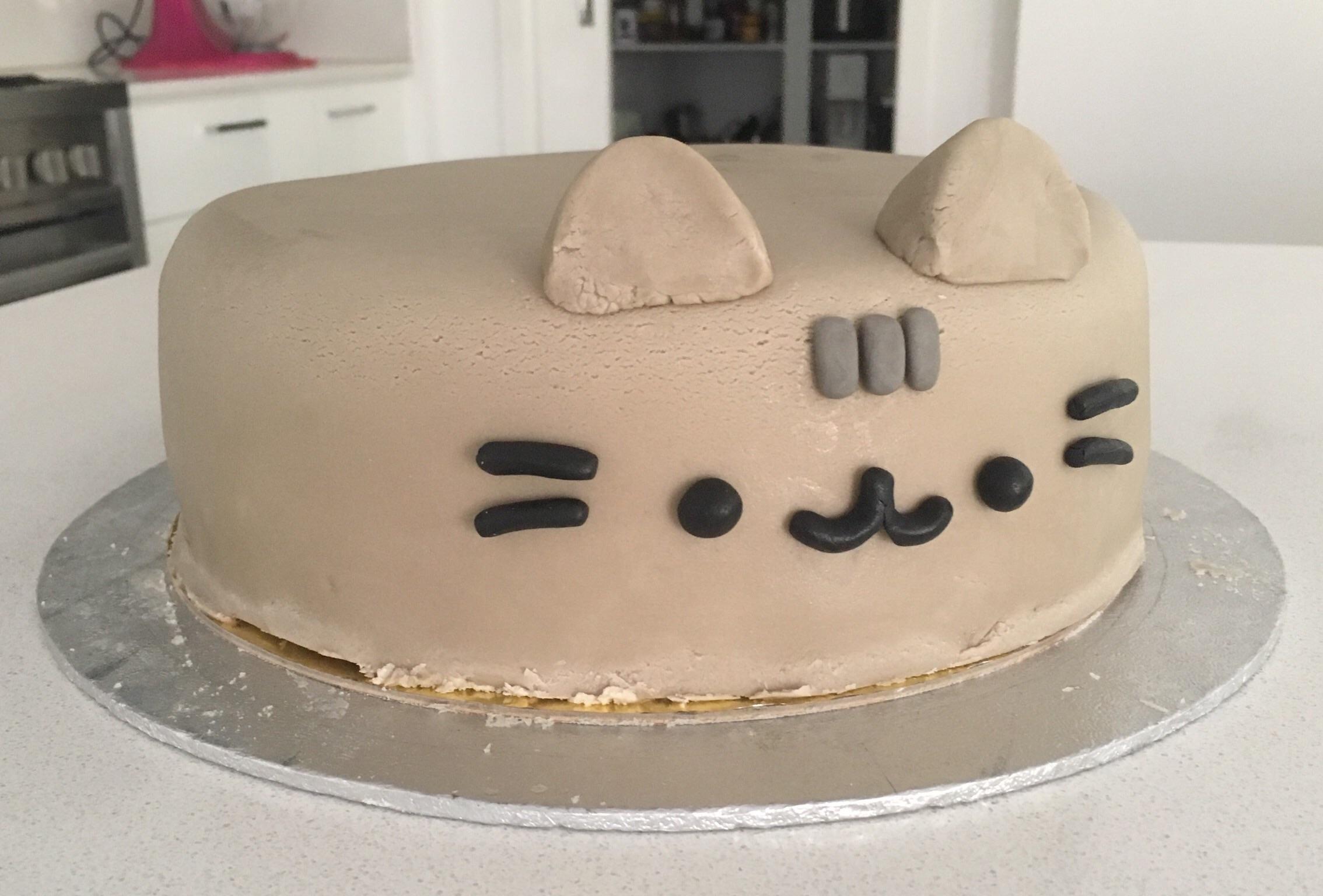 My pusheen cake! r/pusheen