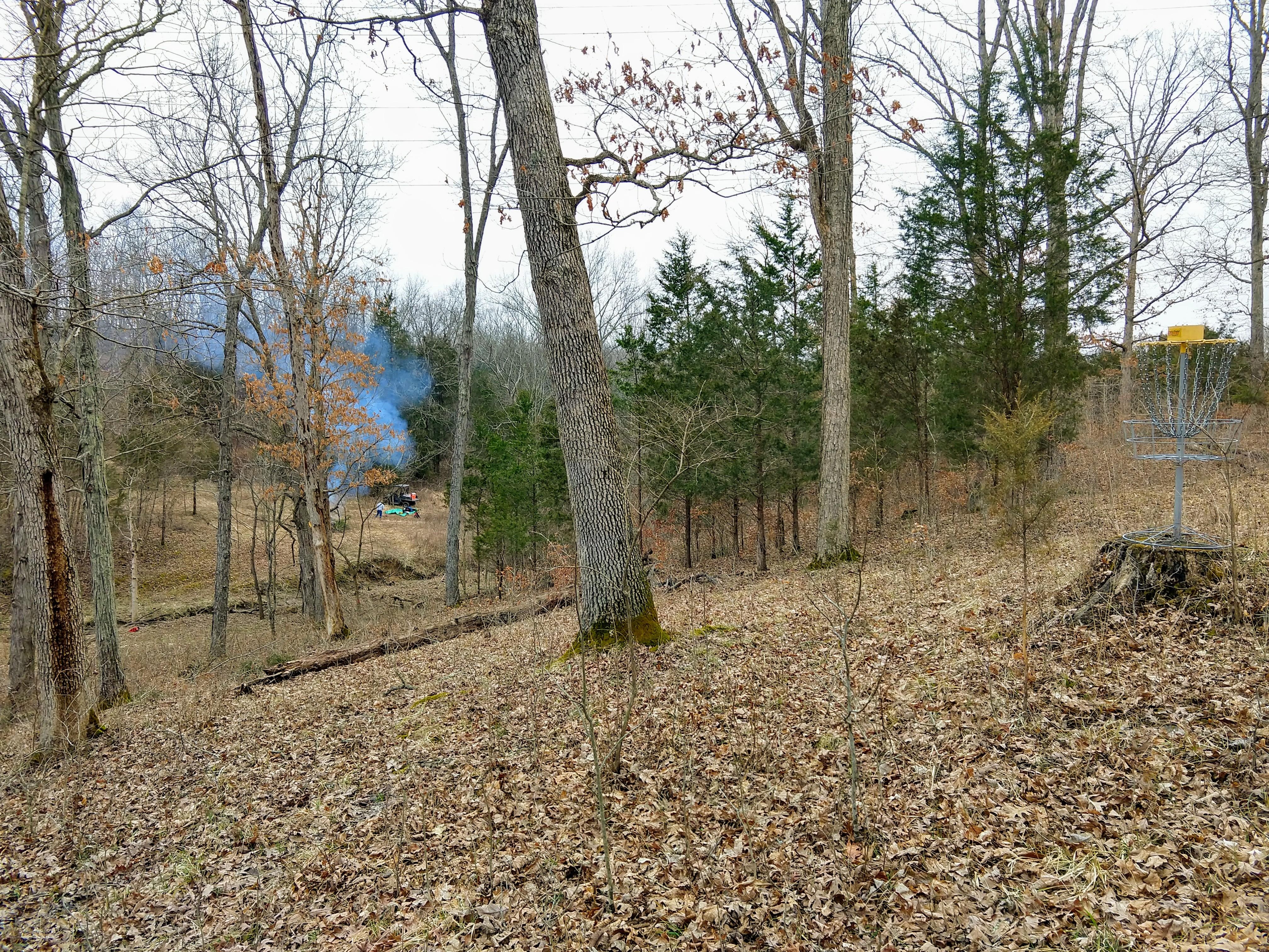 Backyard course construction. Hidden Ridge DGC, hole 10, Dry Ridge, KY. r/discgolf