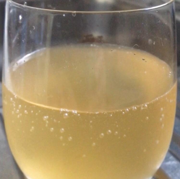 Sparkling green tea kombucha, palm sugar and ginger. 8 day 1f 3 day 2f