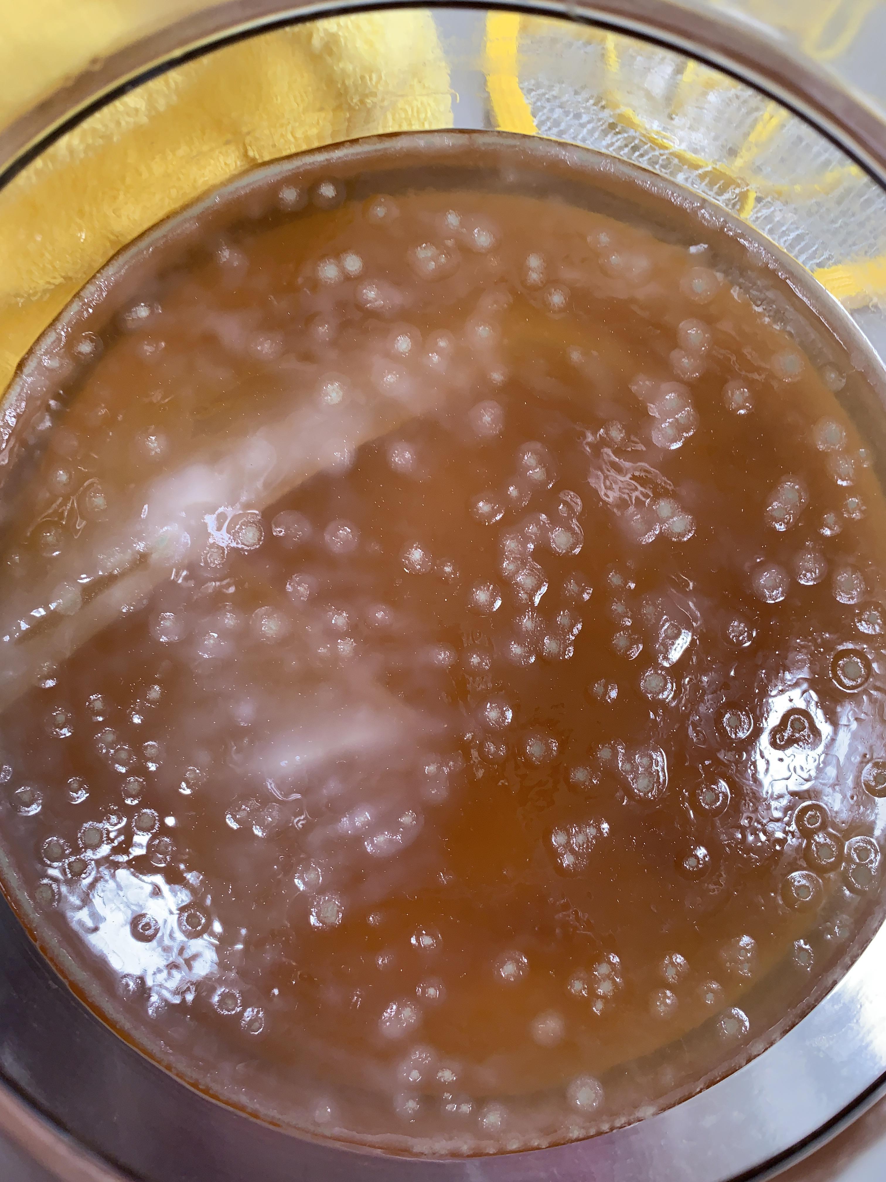 Is this mold? This is a scoby hotel. I recently put some fresh sweet tea in to give em somethin