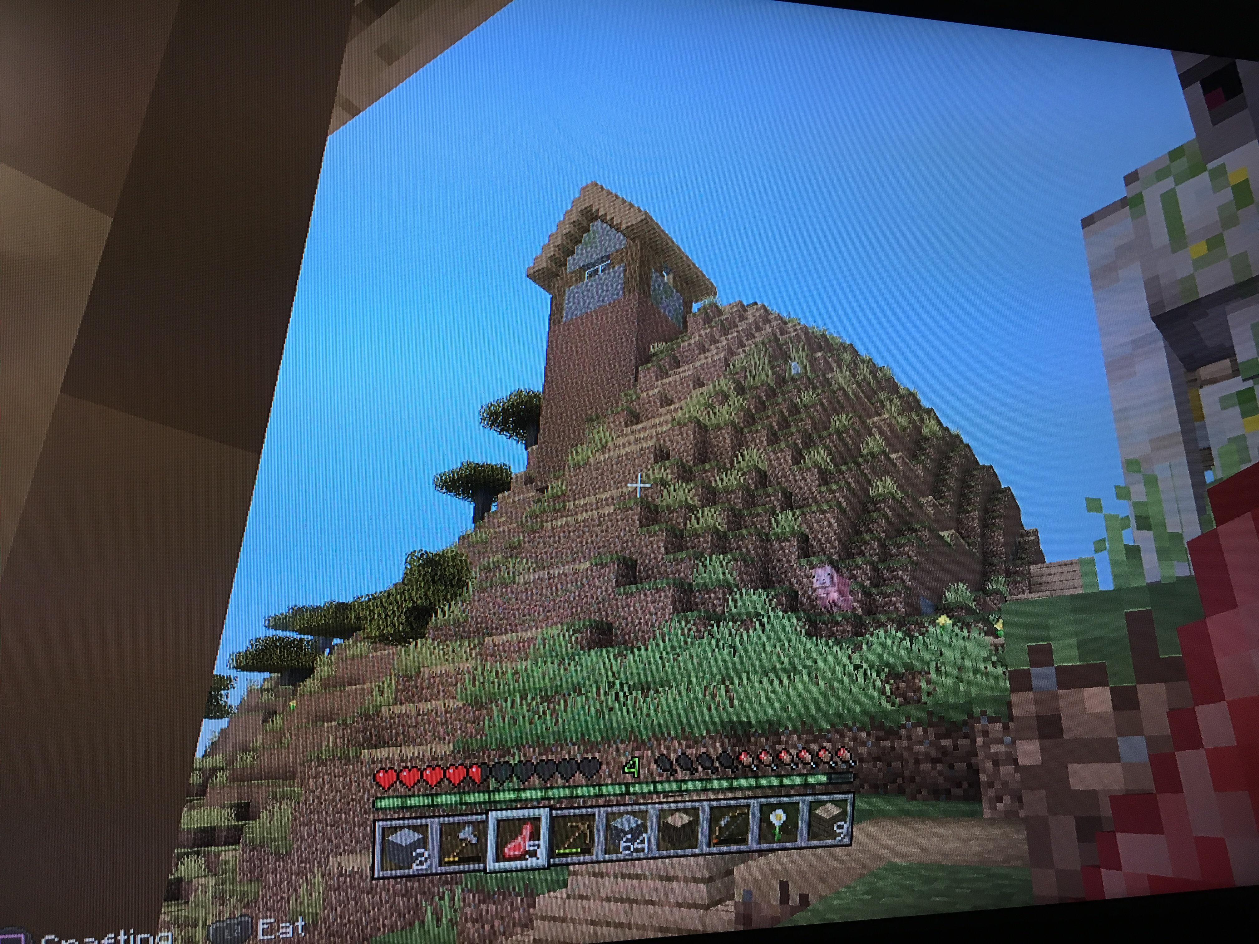 The village idiot r/Minecraft